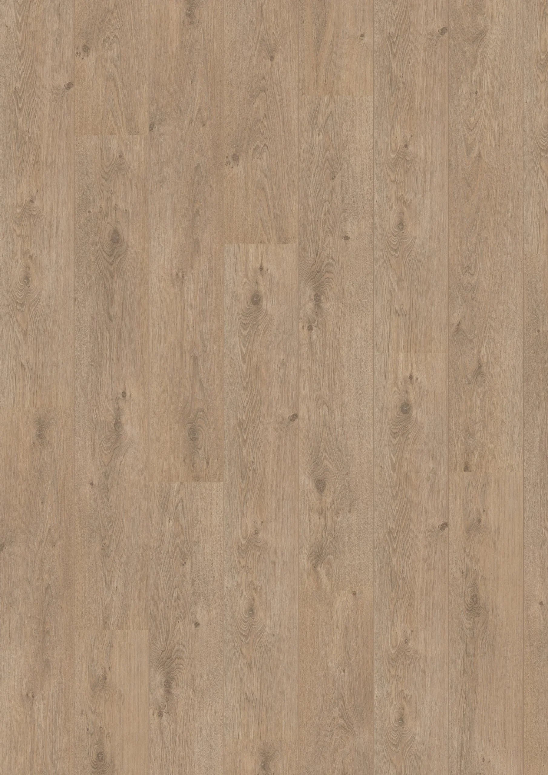 Royal V2 Marche 583 – Aquaprotect