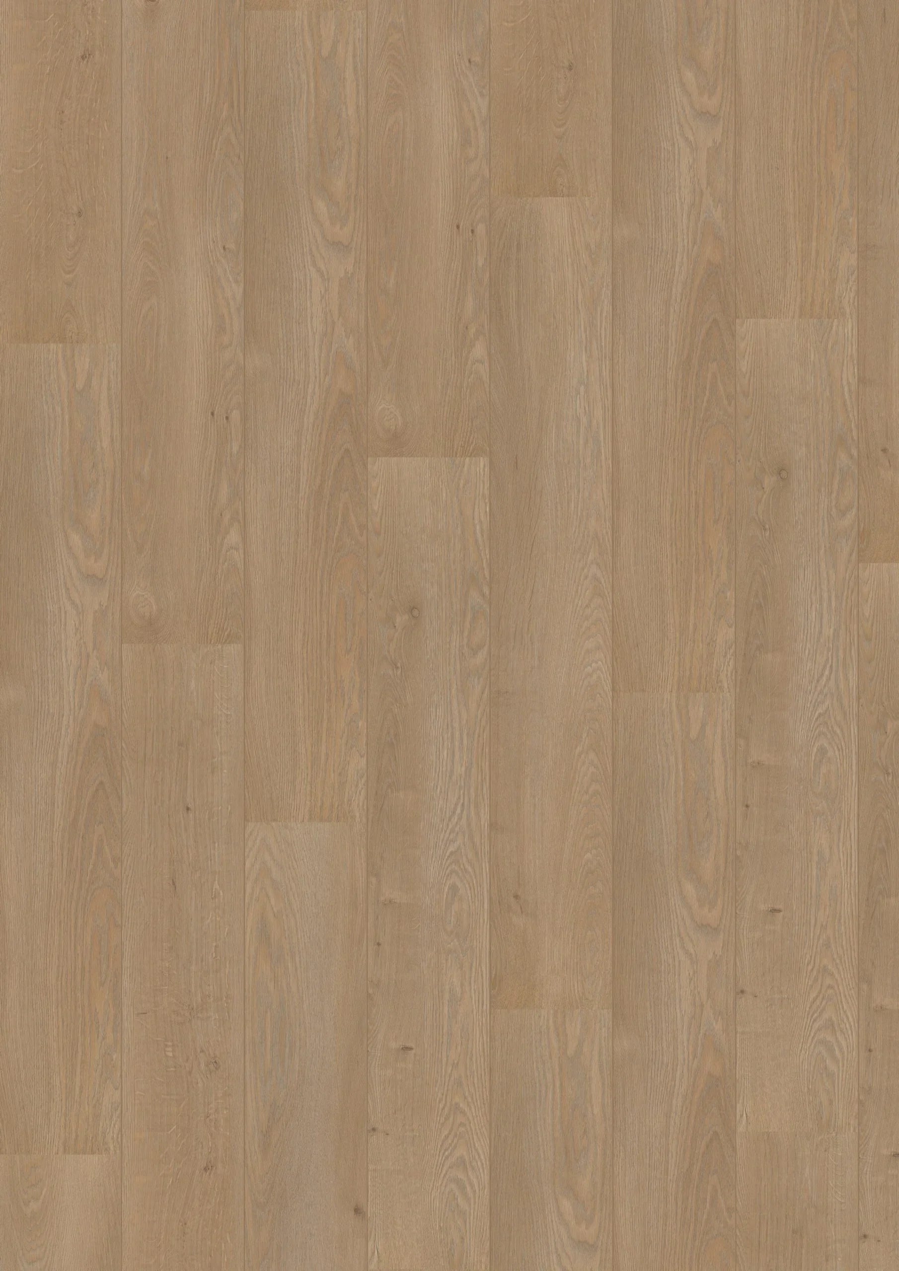 Royal V2 Lombardije 4939 – Aquaprotect