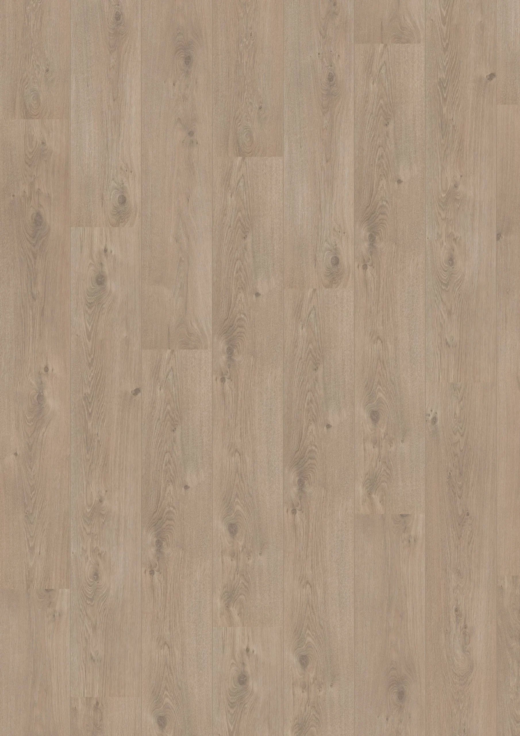 Royal V2 Puglia 4941 – Aquaprotect