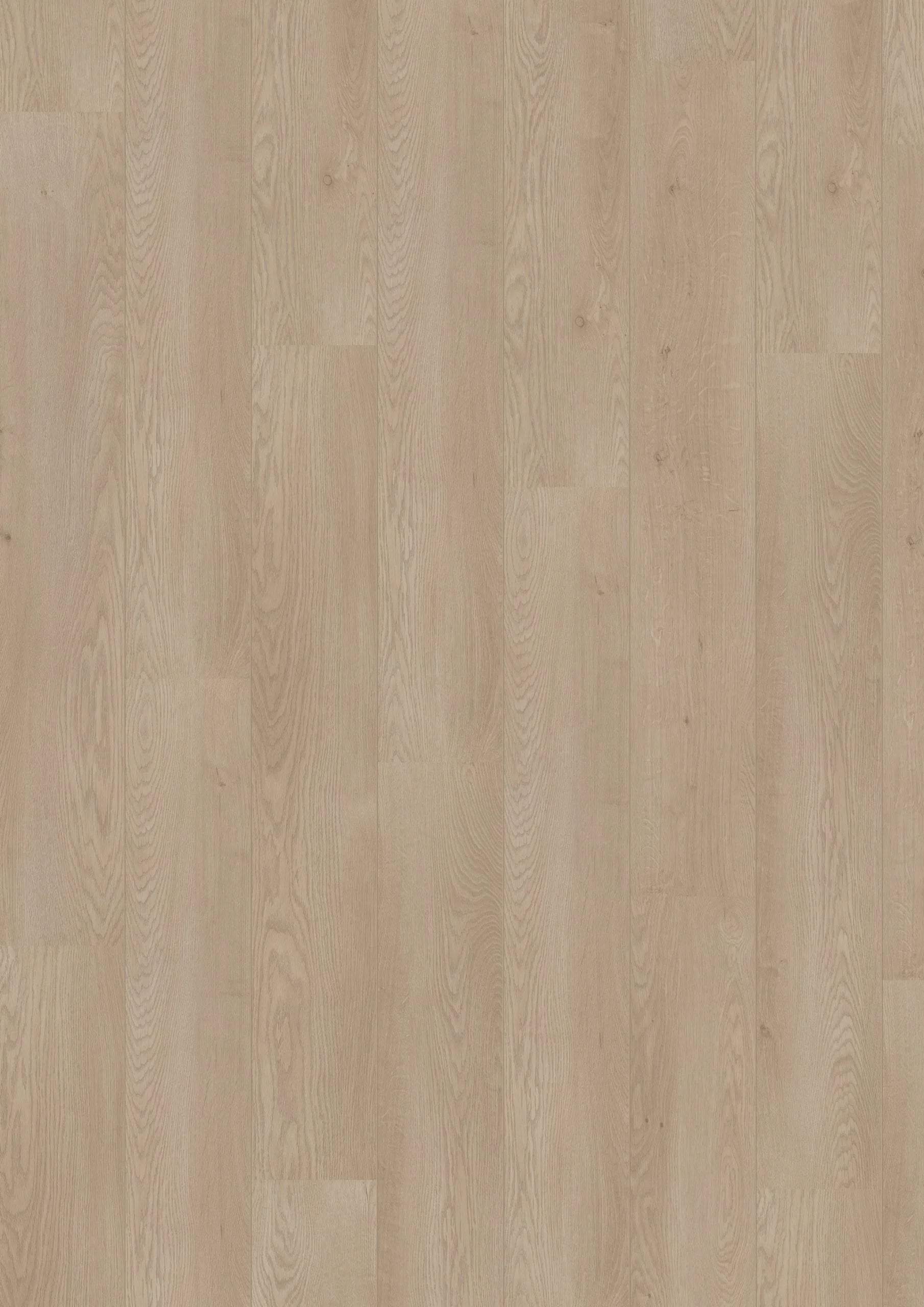 Royal V2 Molise 5299 – Aquaprotect