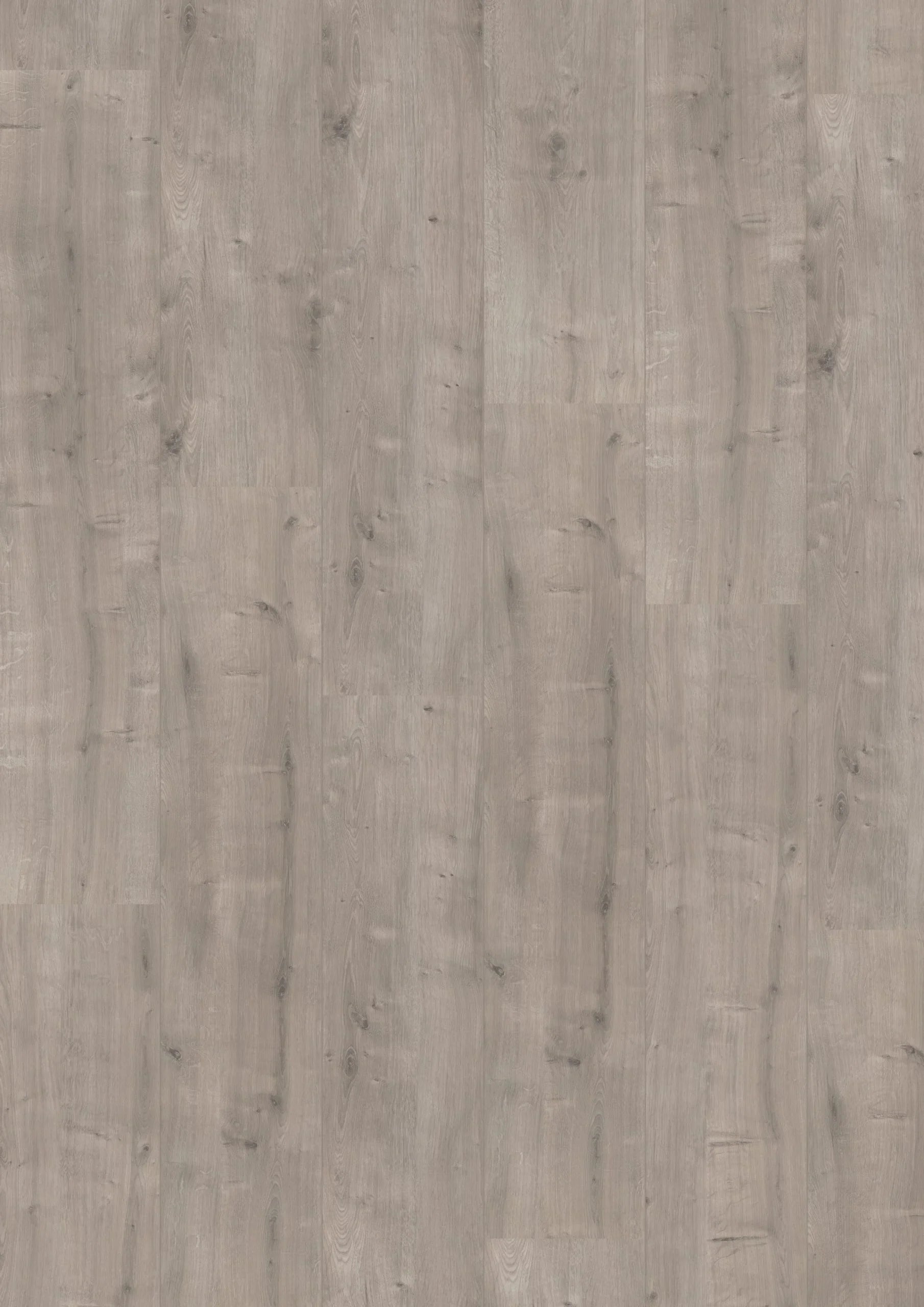 Royal XL V2 Valluga 017 – Aquaprotect