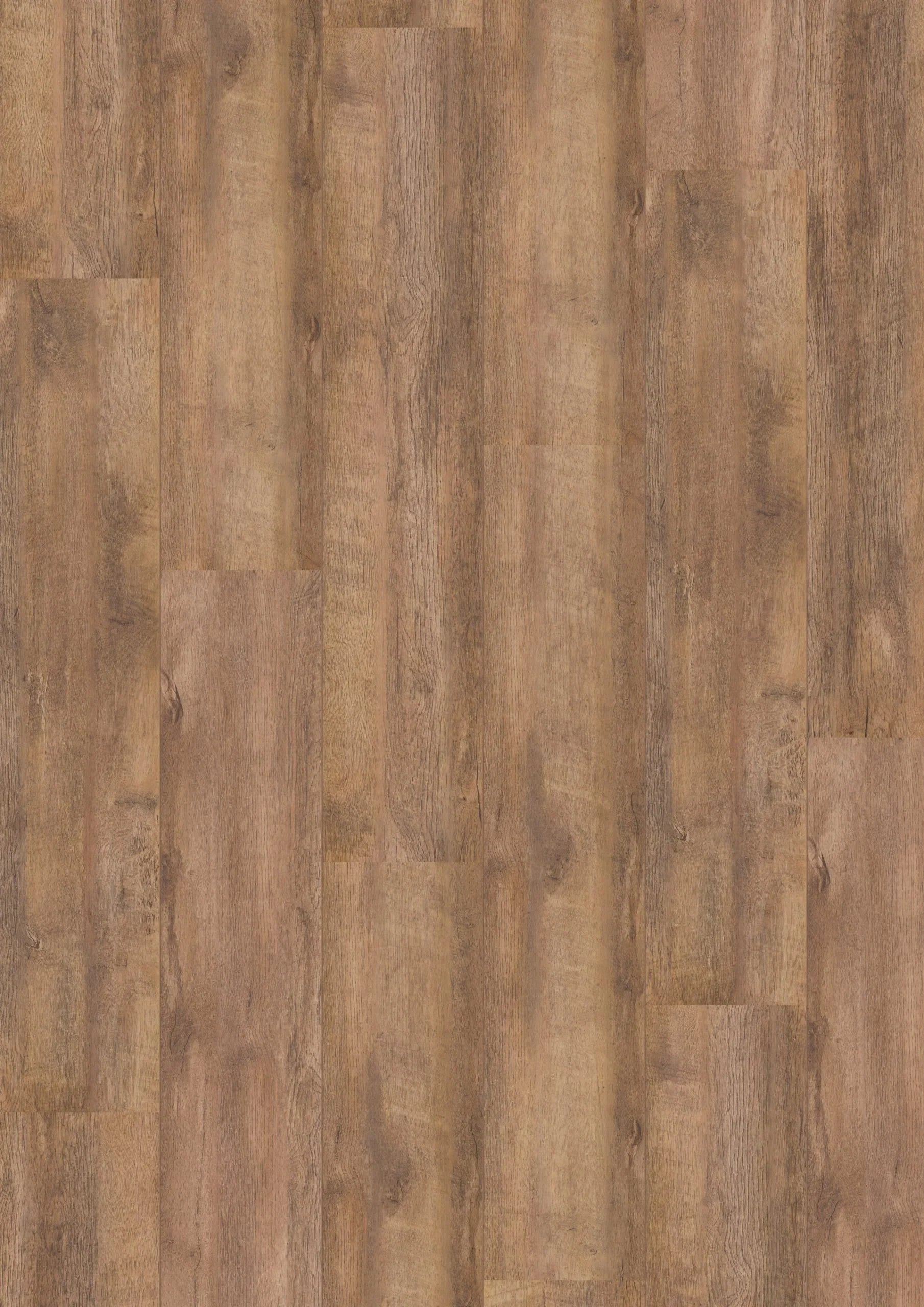 Royal XL V2 Monte Rosa 328 – Aquaprotect