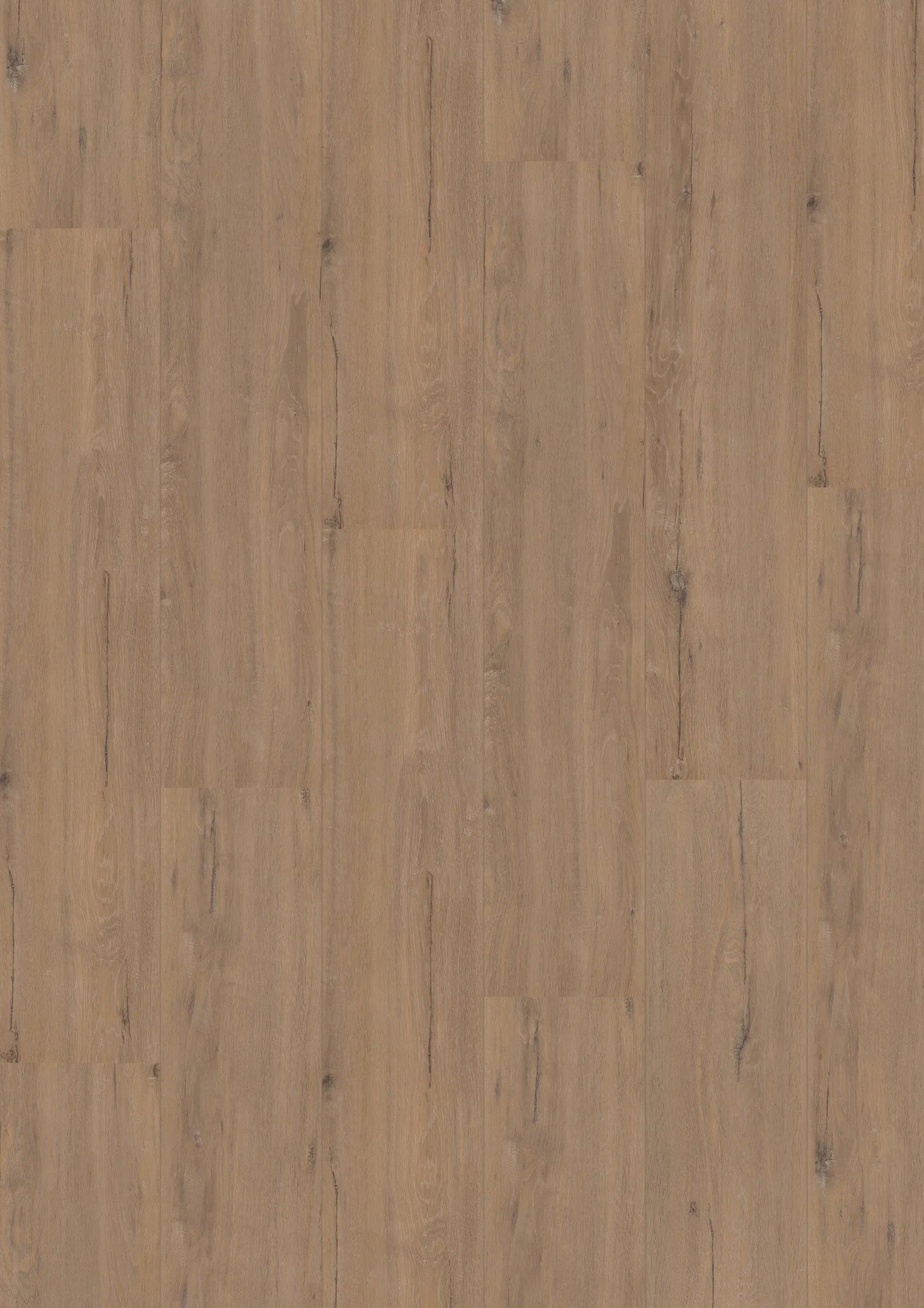 Royal XL V2 Karwendel 902 – Aquaprotect