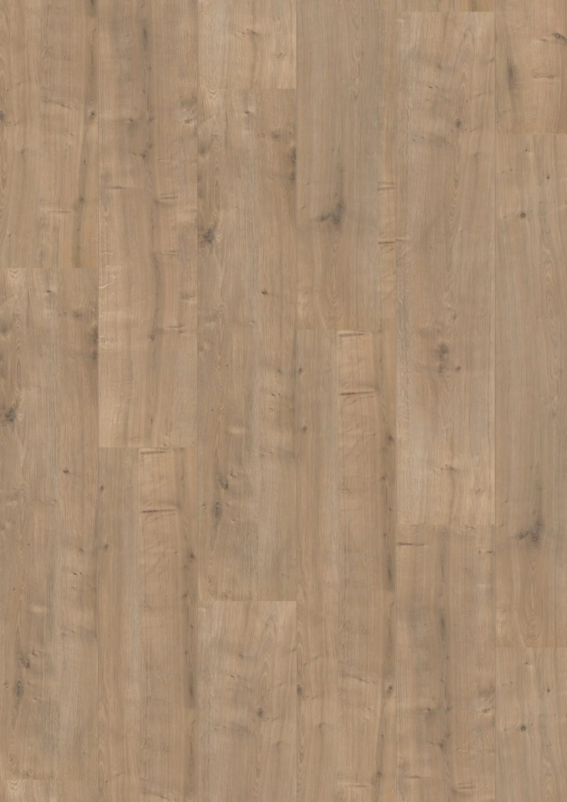 Royal XL V2 Annapurna 946 – Aquaprotect