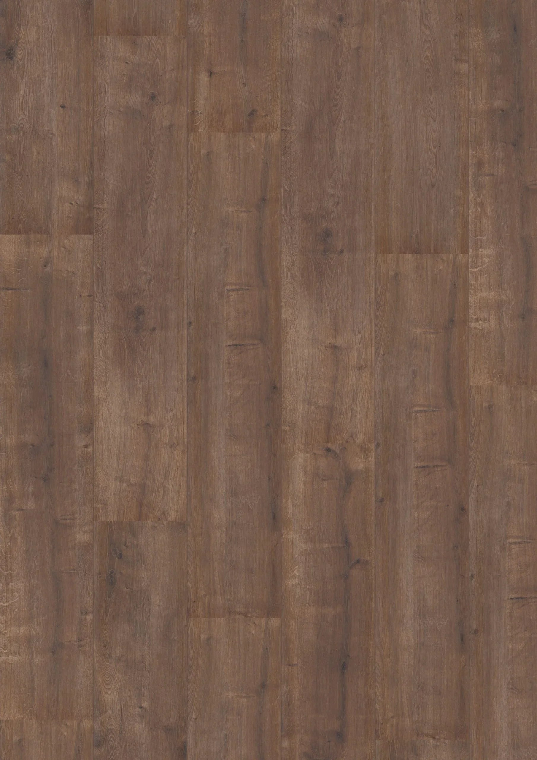 Royal XL V2 Rocky Mountain 959 – Aquaprotect