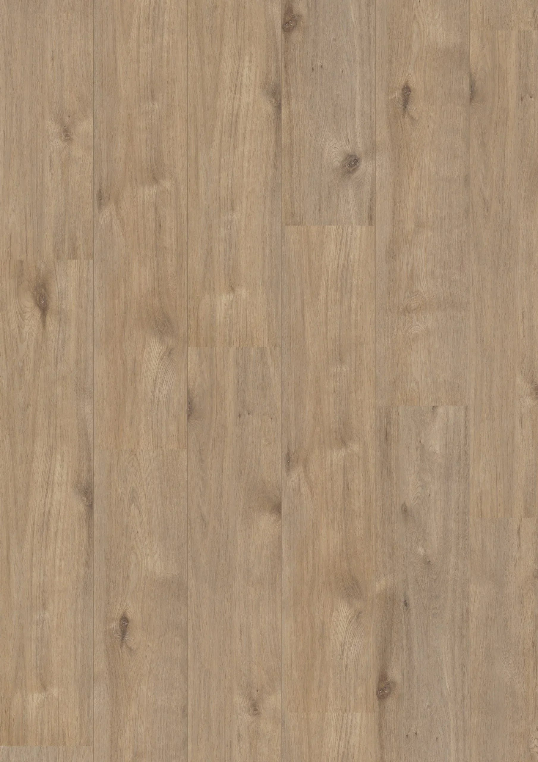 Royal XL V2 Alpe d’Huez 969 – Aquaprotect