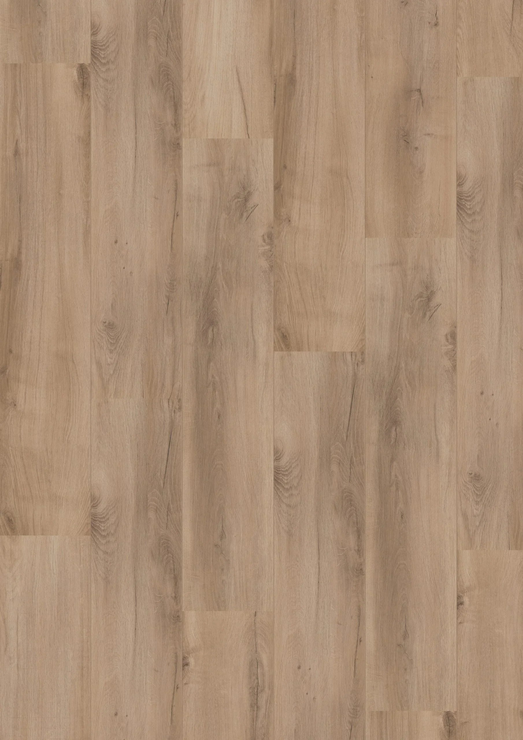 Royal XL V2 Ararat 4927 – Aquaprotect