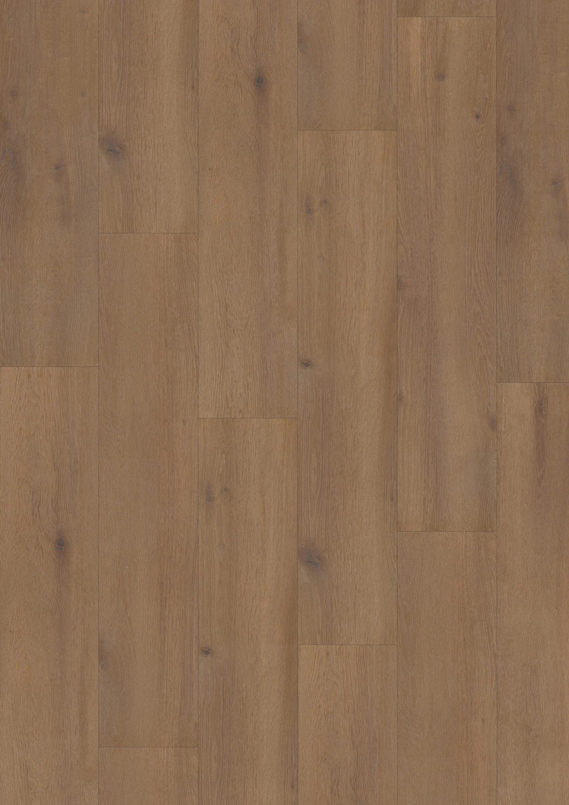 Elite XL V4 Waal 6079 – Aquaprotect