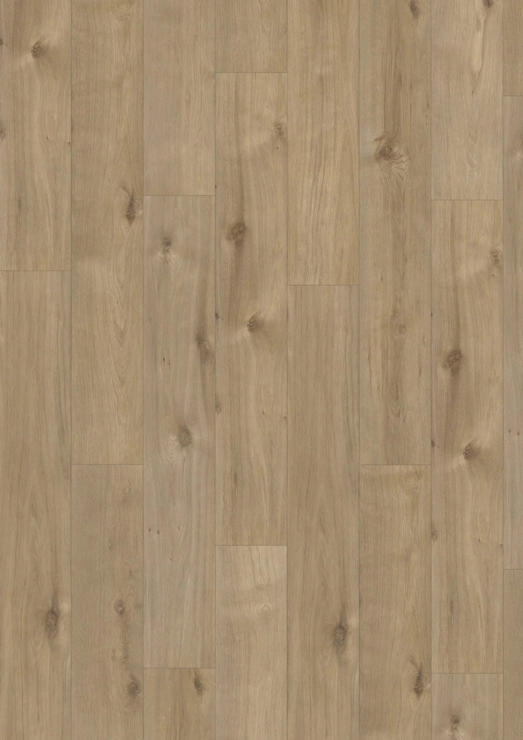 Elite Classic V4 Valerie 60969 – Aquaprotect