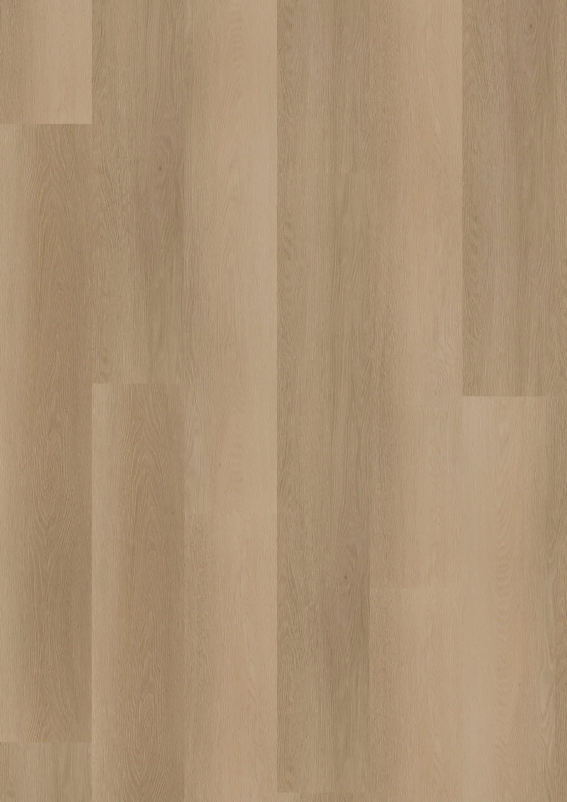 Ambassador Dryback Vermont 12