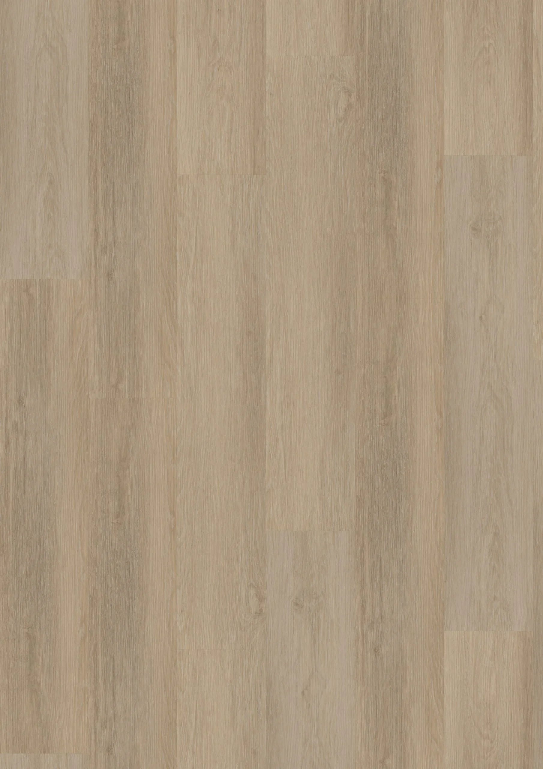 Briljant Hyacint 20015 Dryback