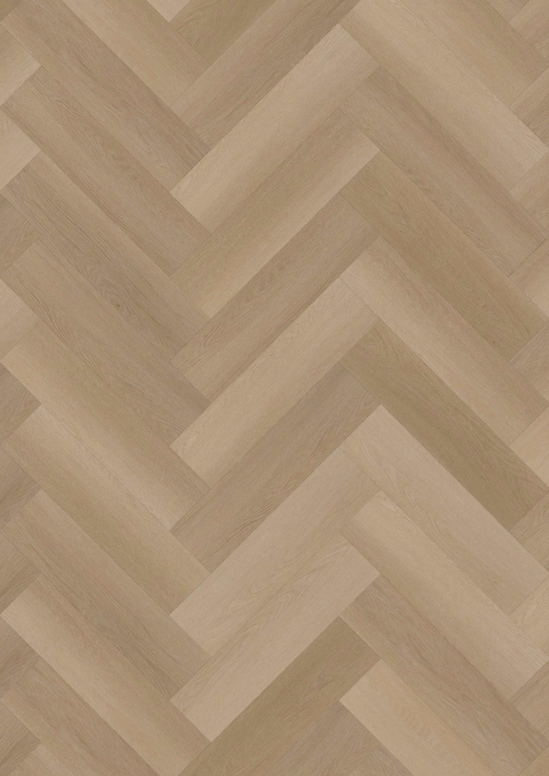 Ambassador Dryback Visgraat Ontario 120