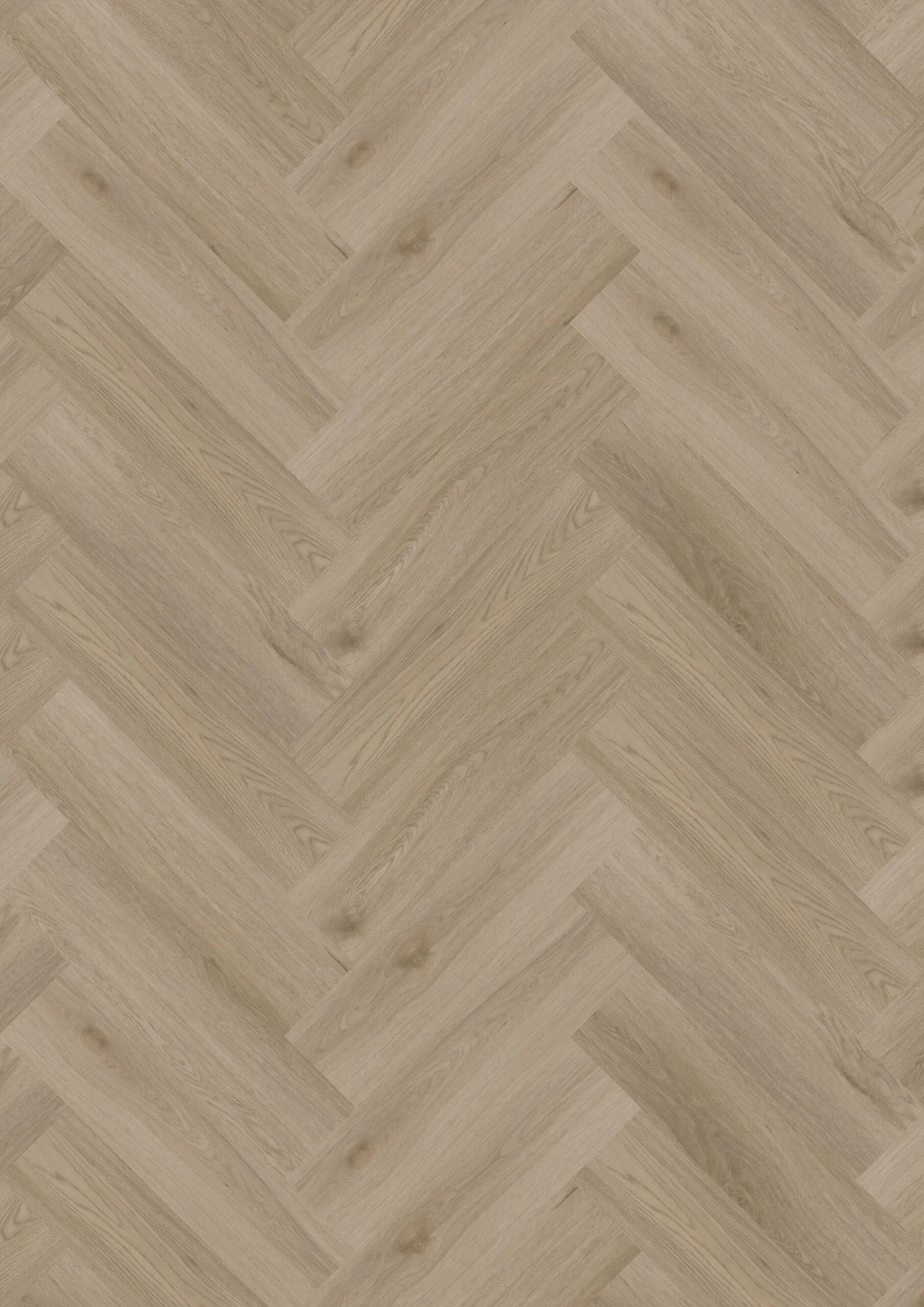 Ambassador Dryback Visgraat Winnipeg 63