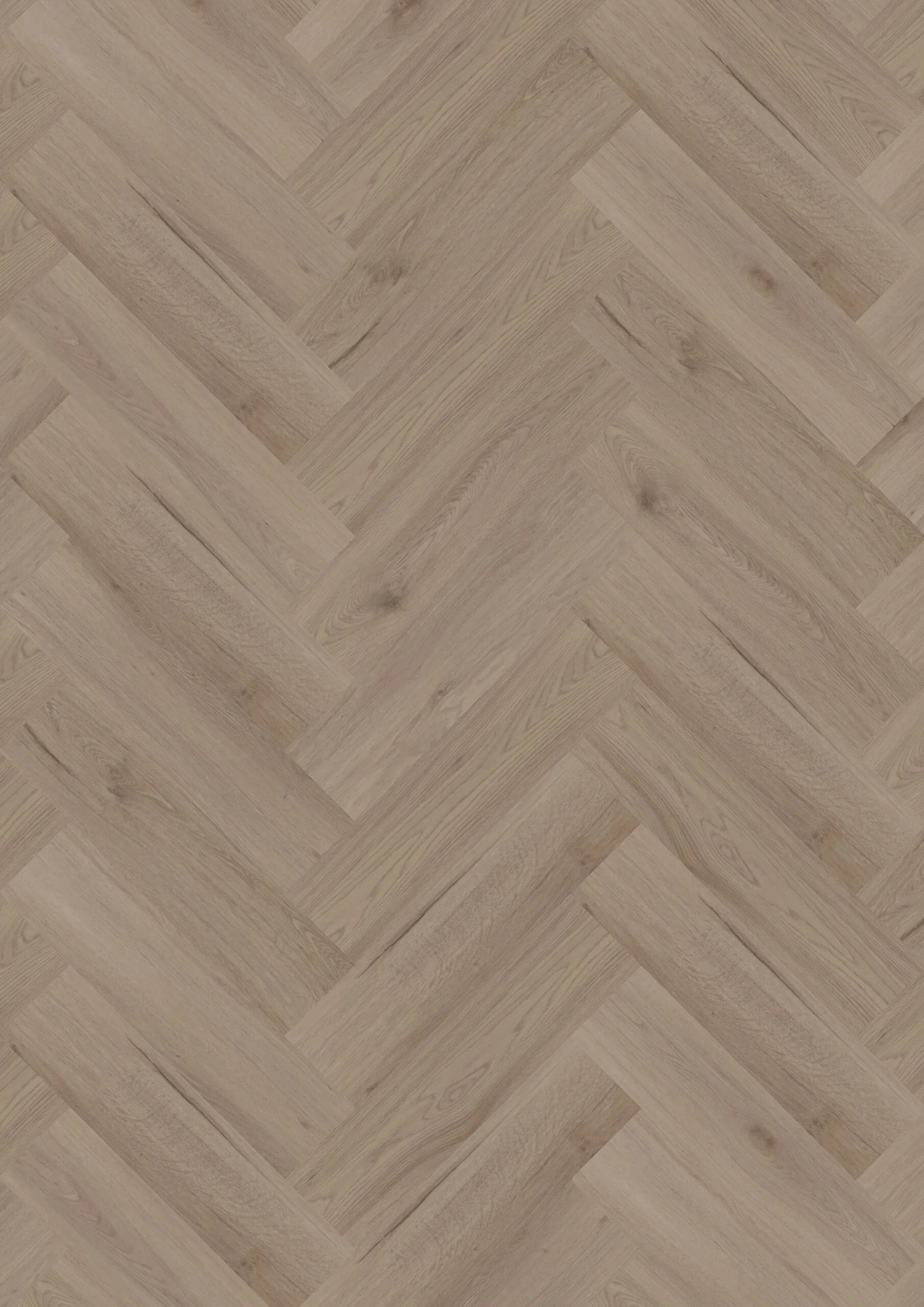 Ambassador Dryback Visgraat Vancouver 65