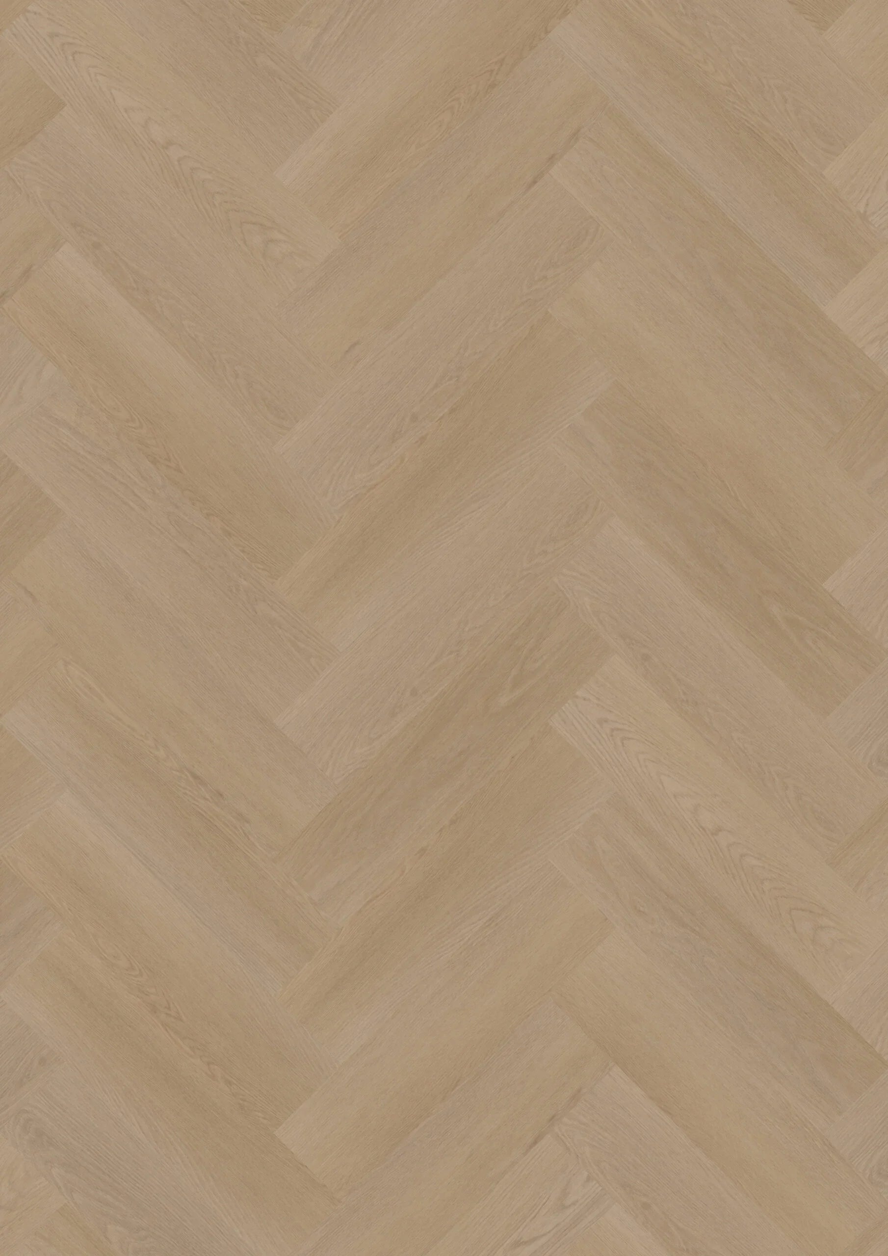 Ambassador Dryback Visgraat Halifax 6