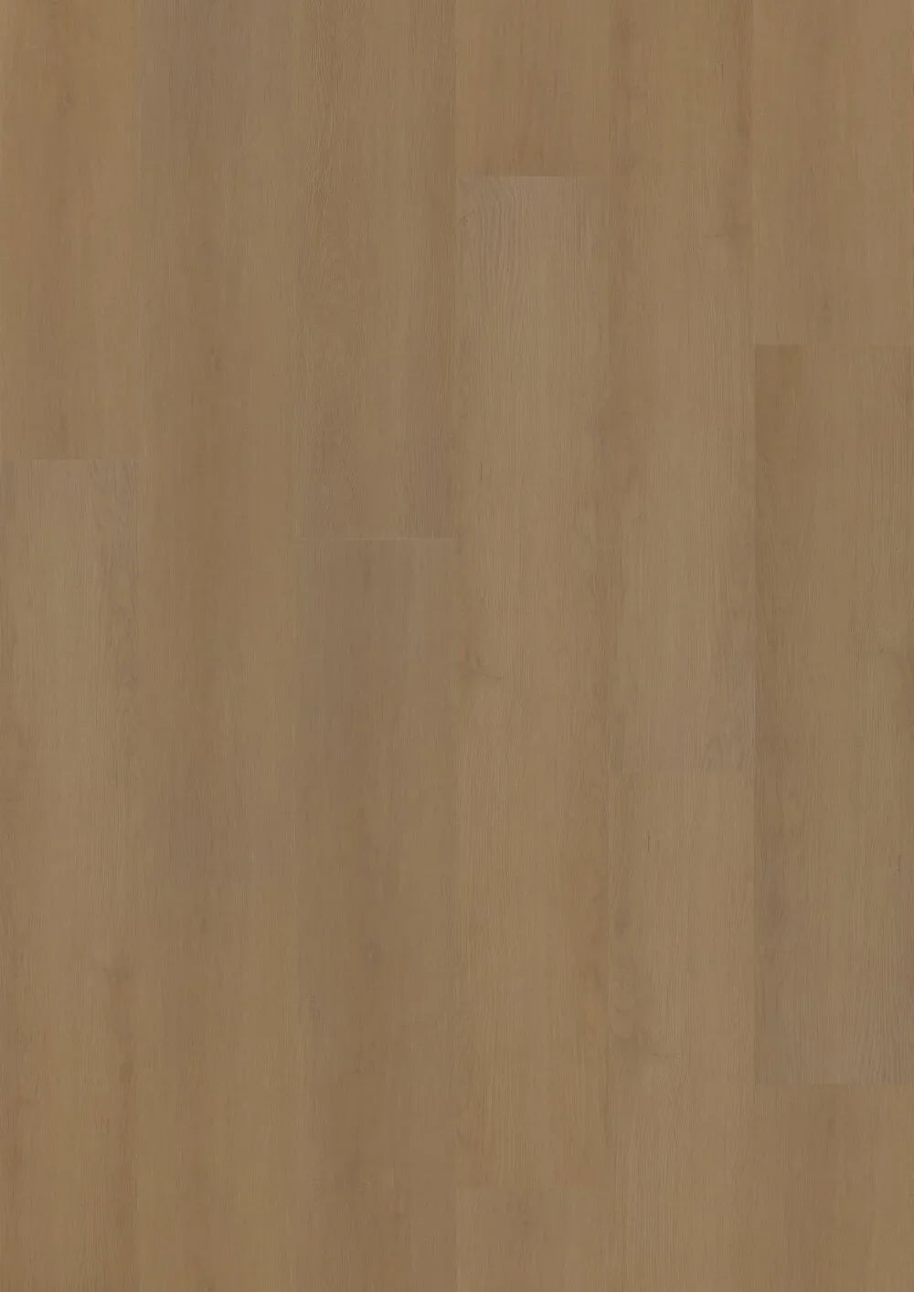 Hoomline Prestige Dryback plank Nice 5053