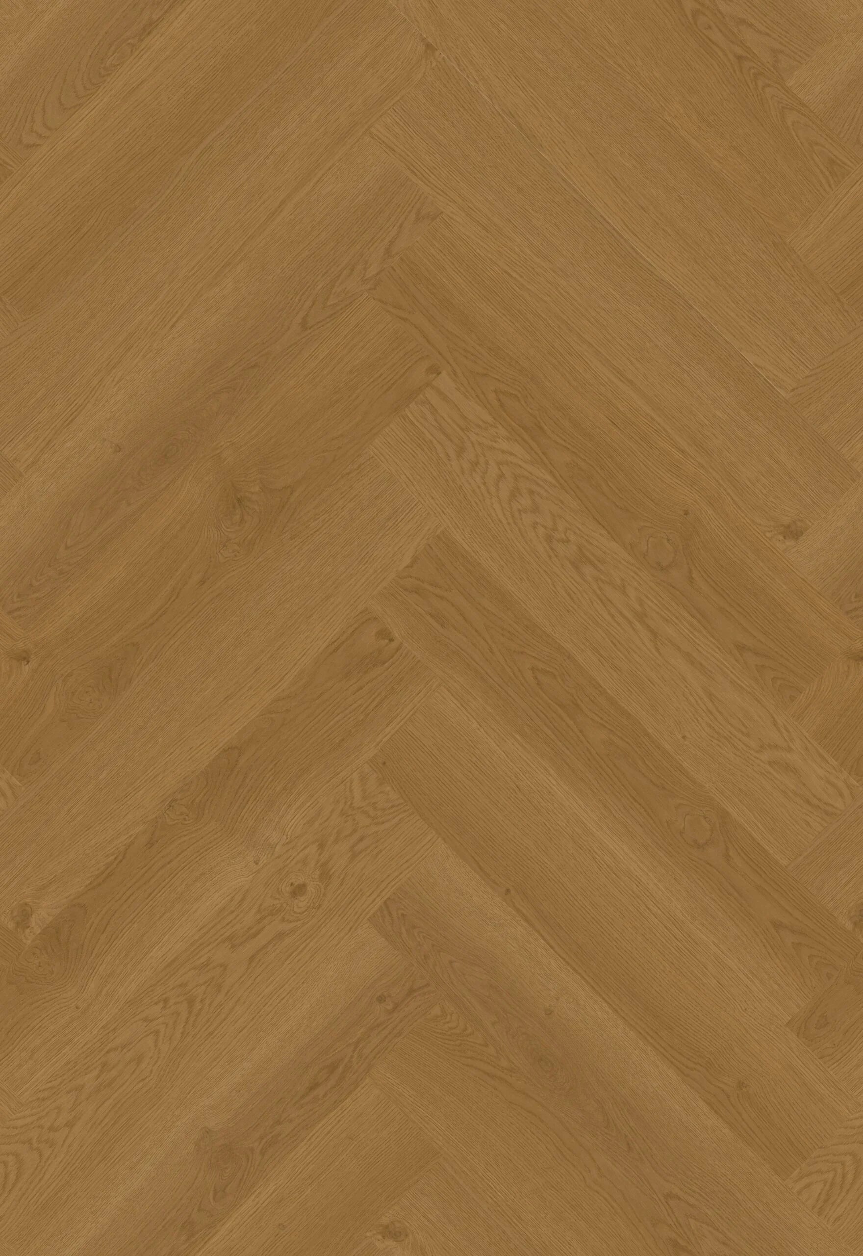 Hoomline Elegance Dryback Visgraat Leeuw 51317