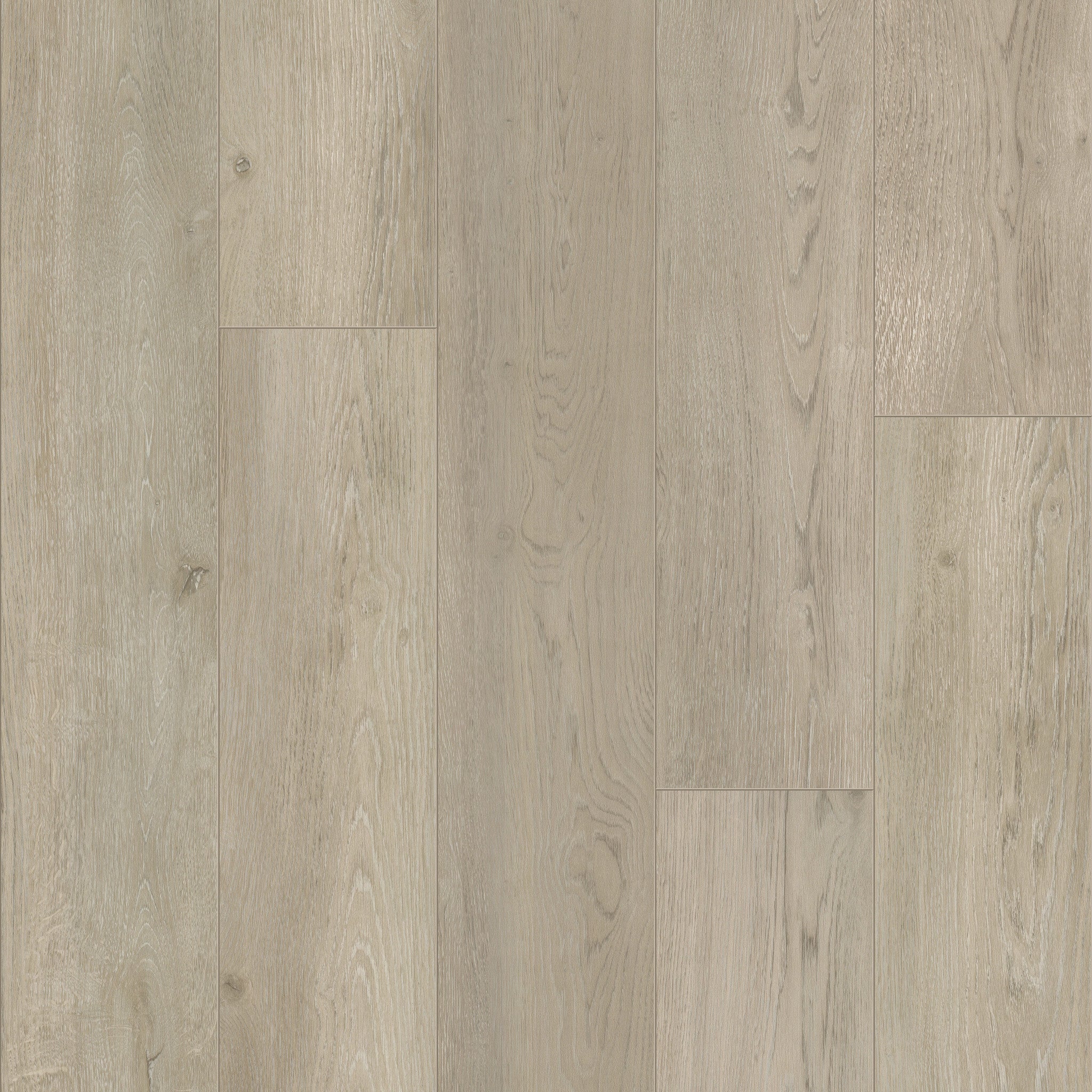 Baltimore Oak 95 - 50 LVRE 1295