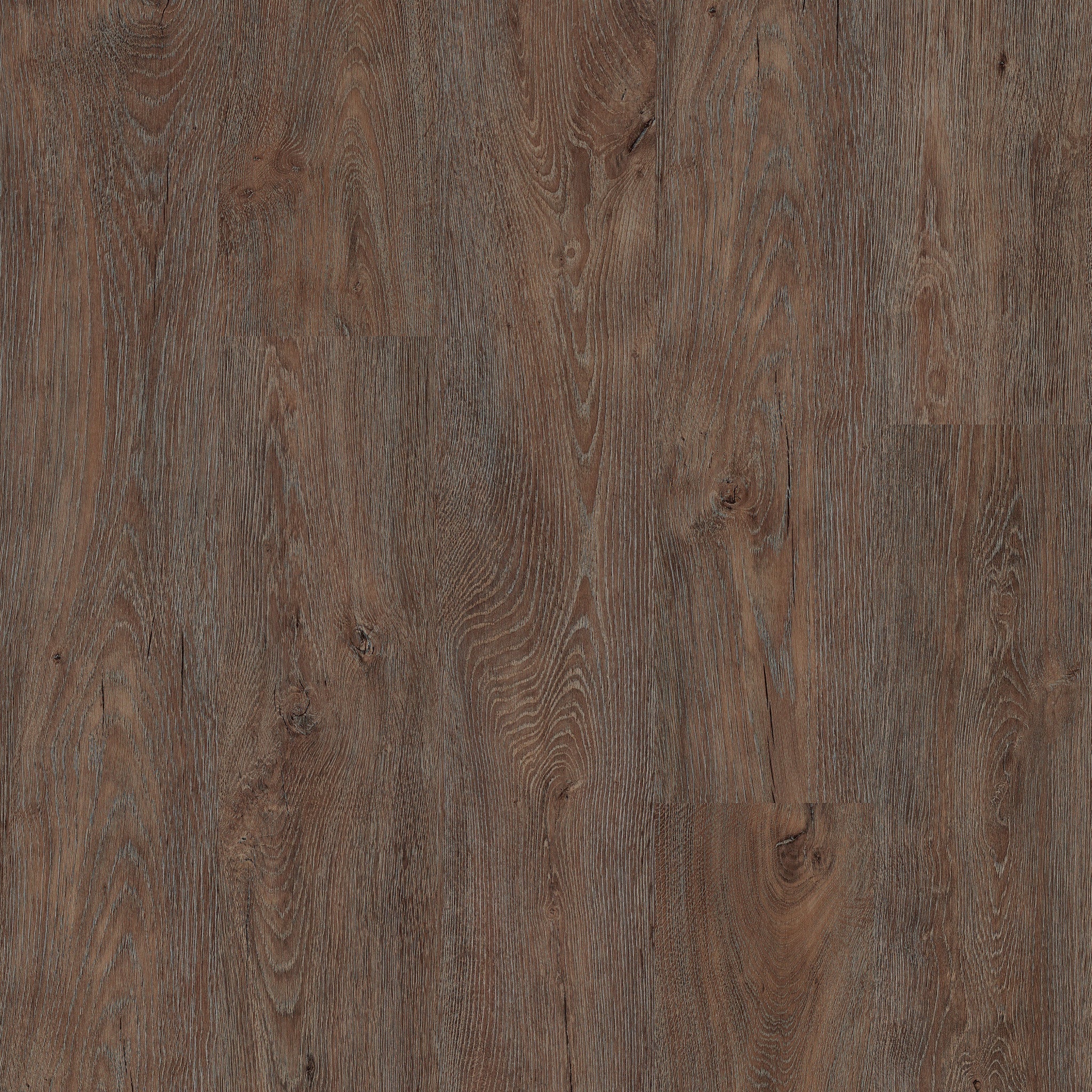 Jasper Oak 01 - 50 LVR 9601