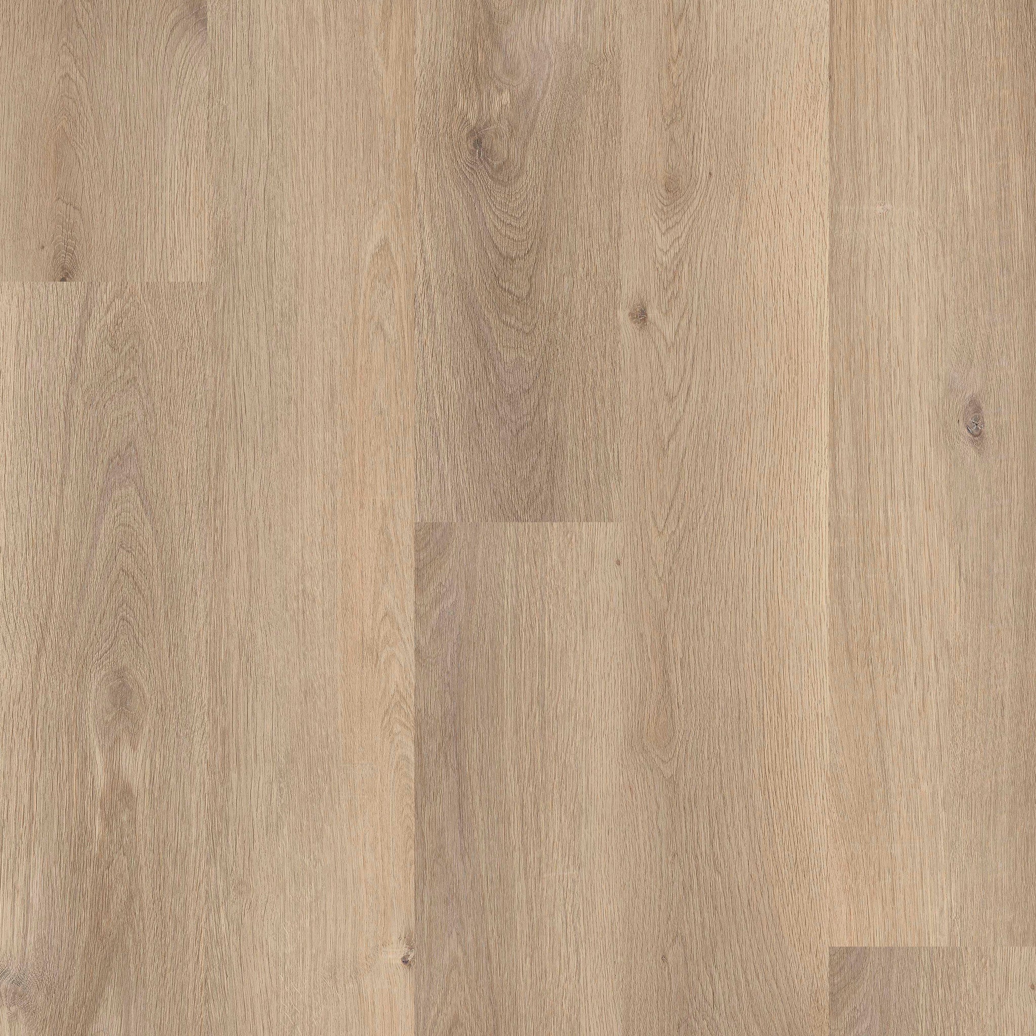 Kingston - 50 LVR 136