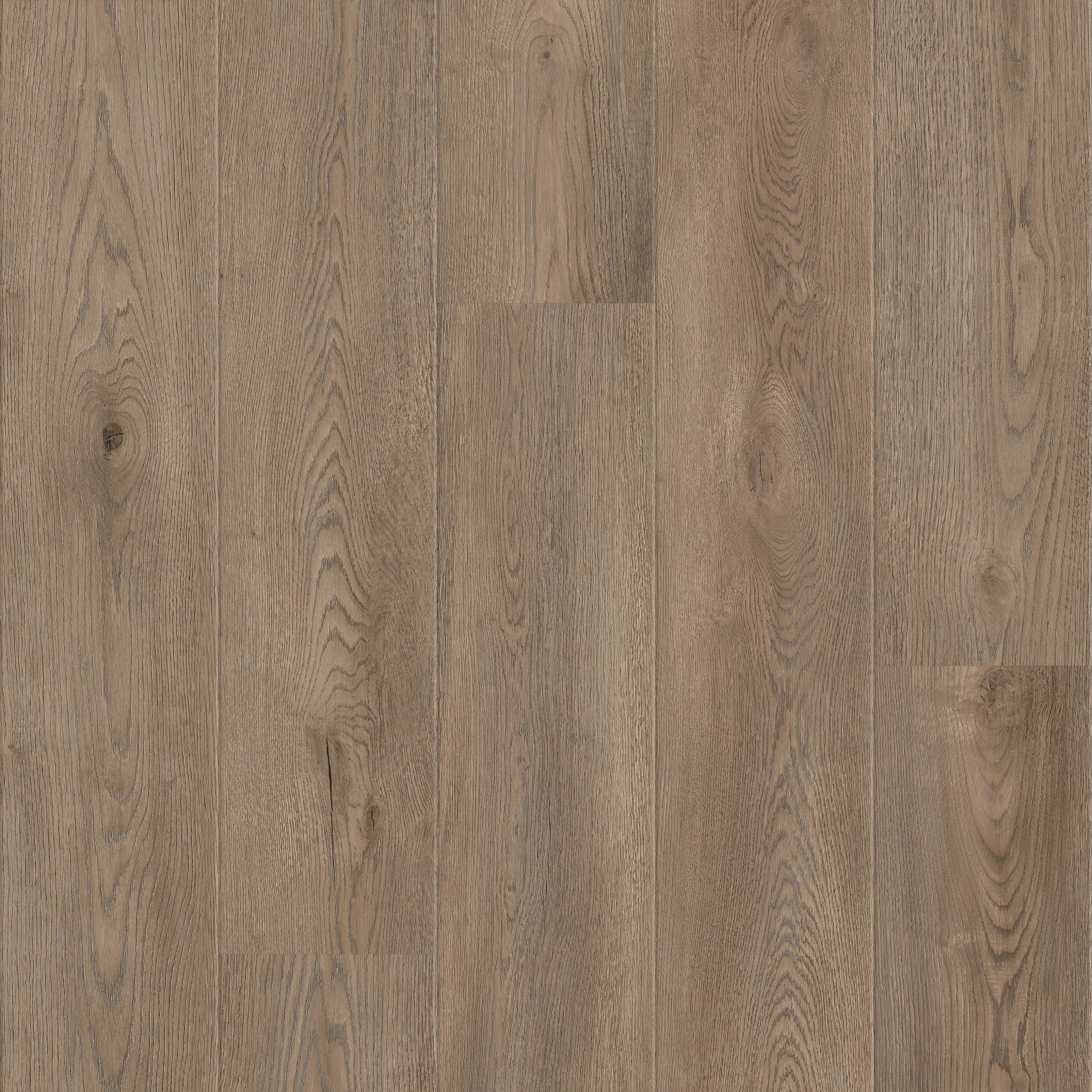 Whistler - 50 LVRE 4985