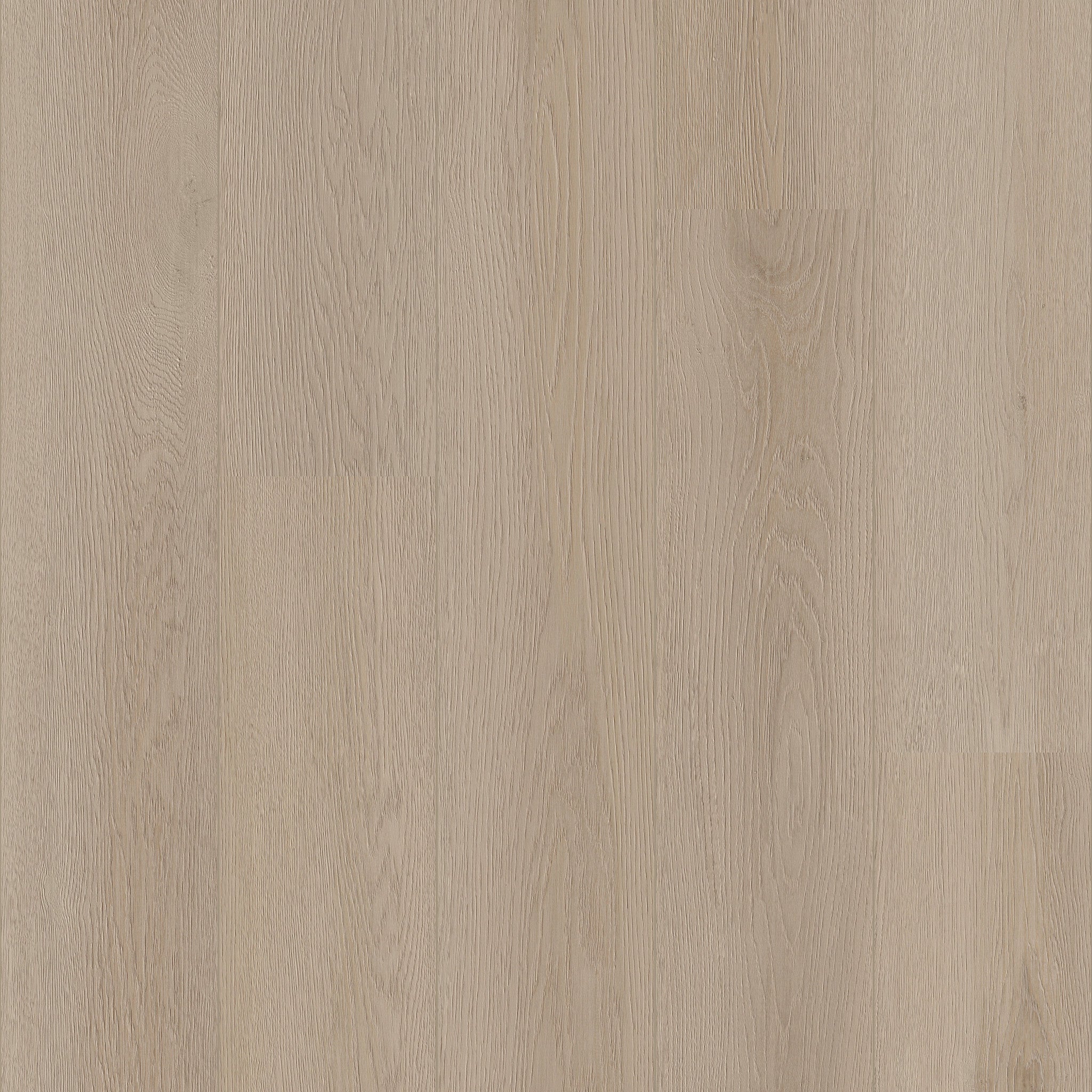 Pampas - 50 LVRE 2955