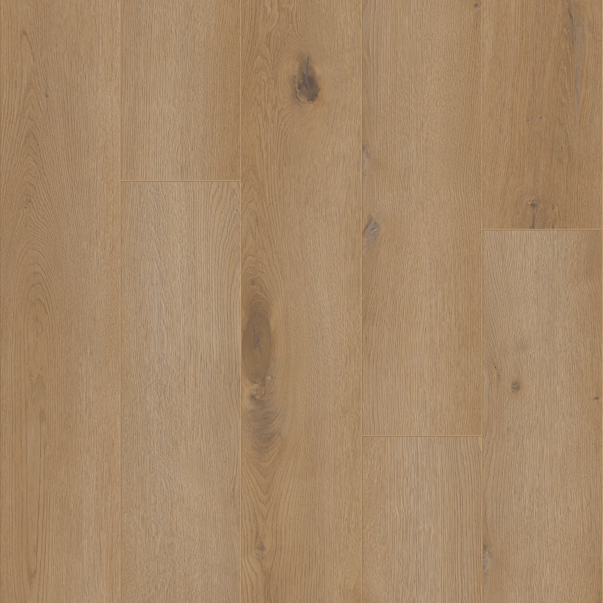 Moraine - 50 LVRE 113