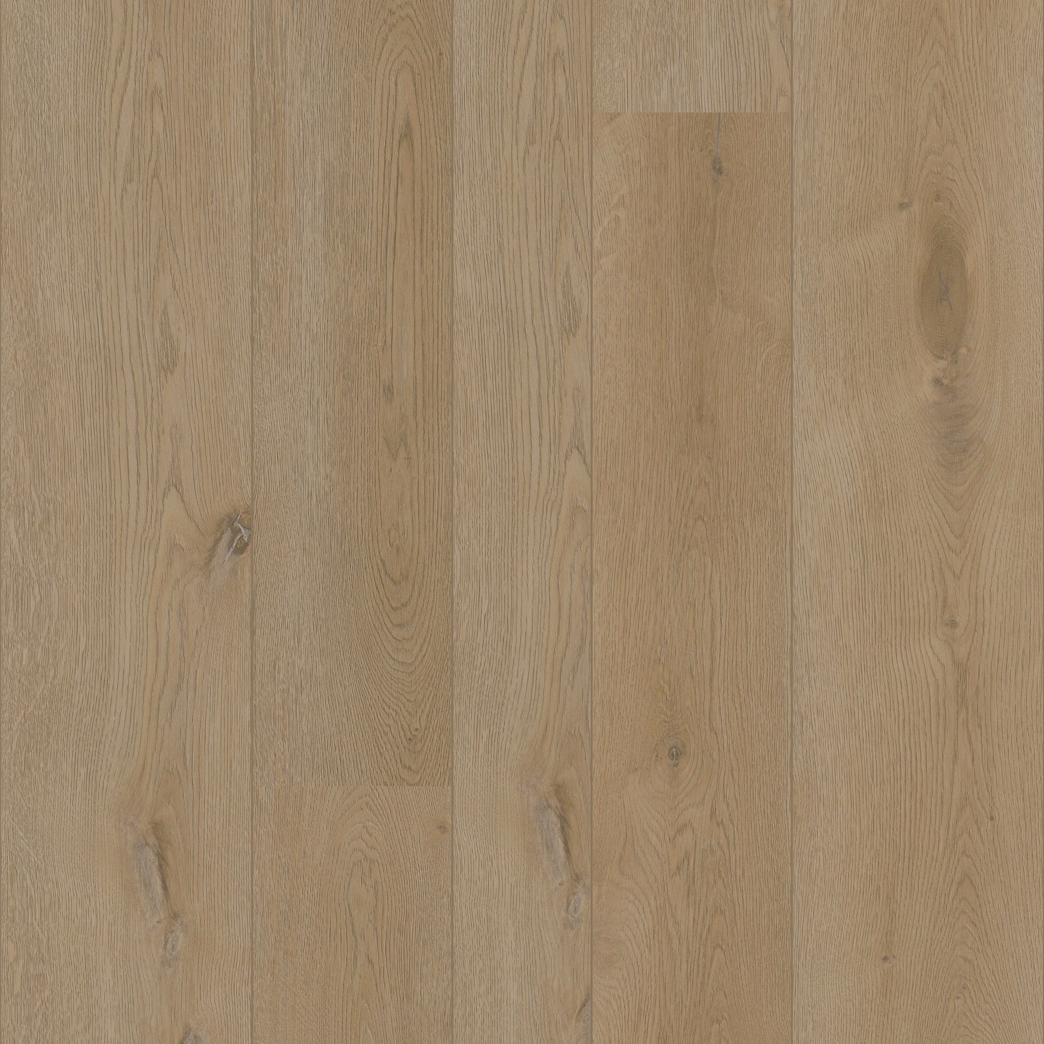 Texas Oak M54 - 50 LVREM 2454