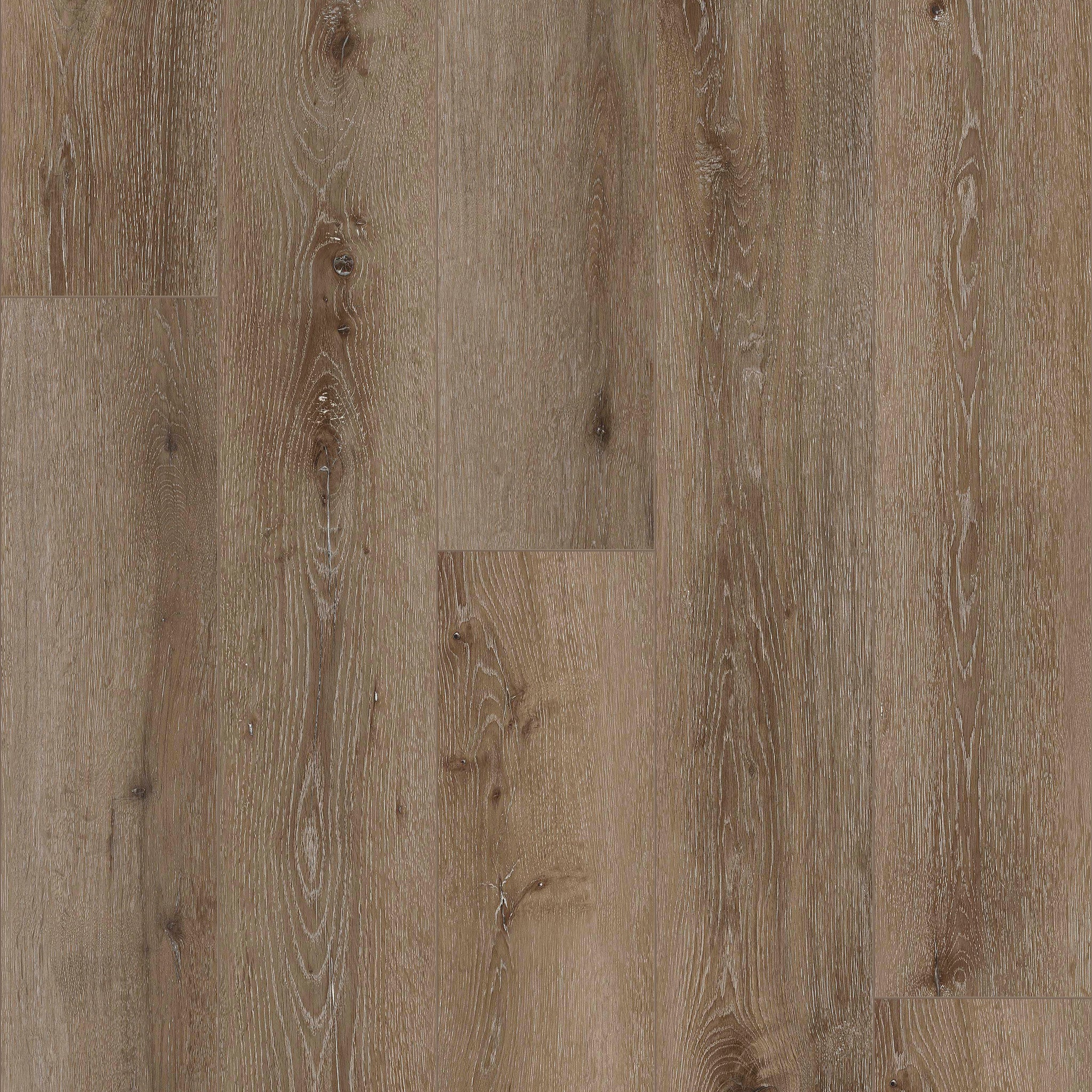 Halifax - 50 LVRE 138