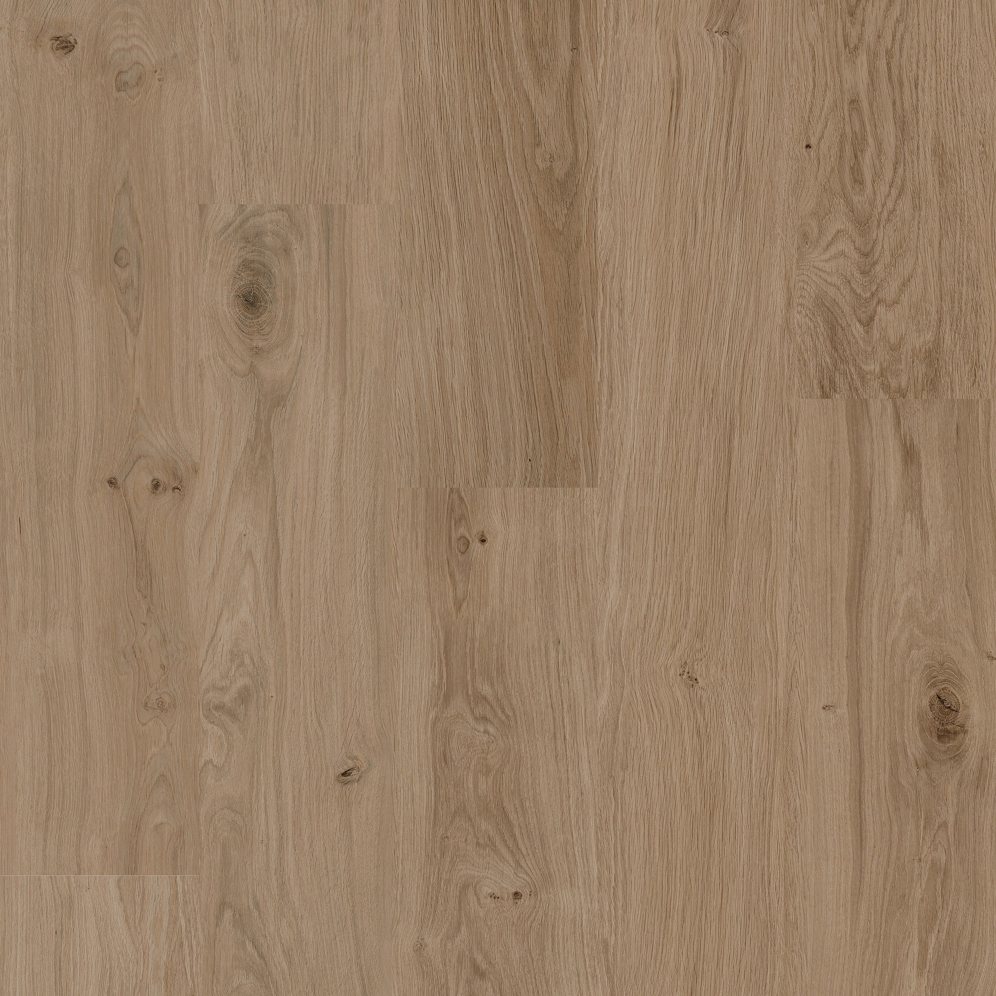 Richmond - 50 LVR 4357