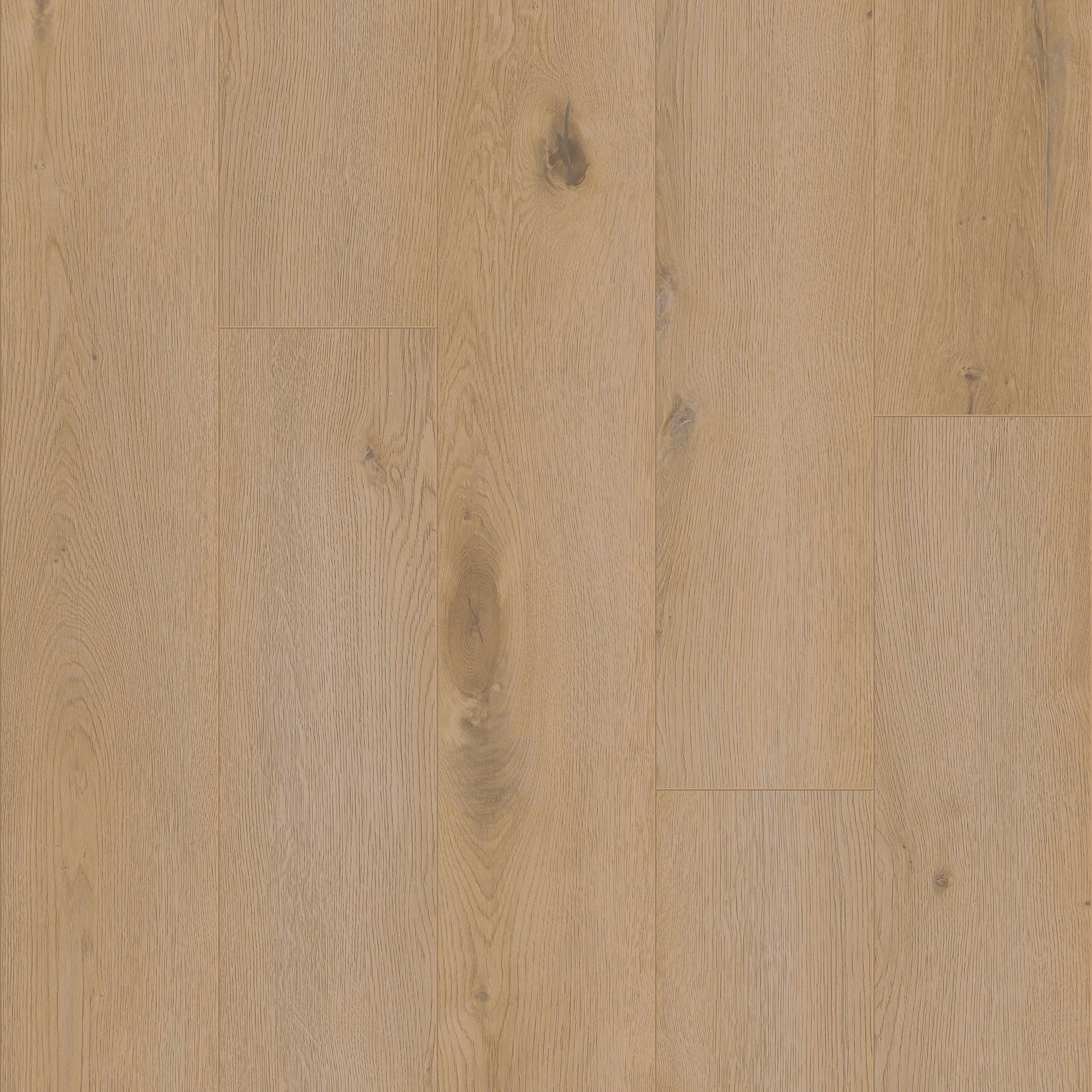 Champlain - 50 LVRE 115