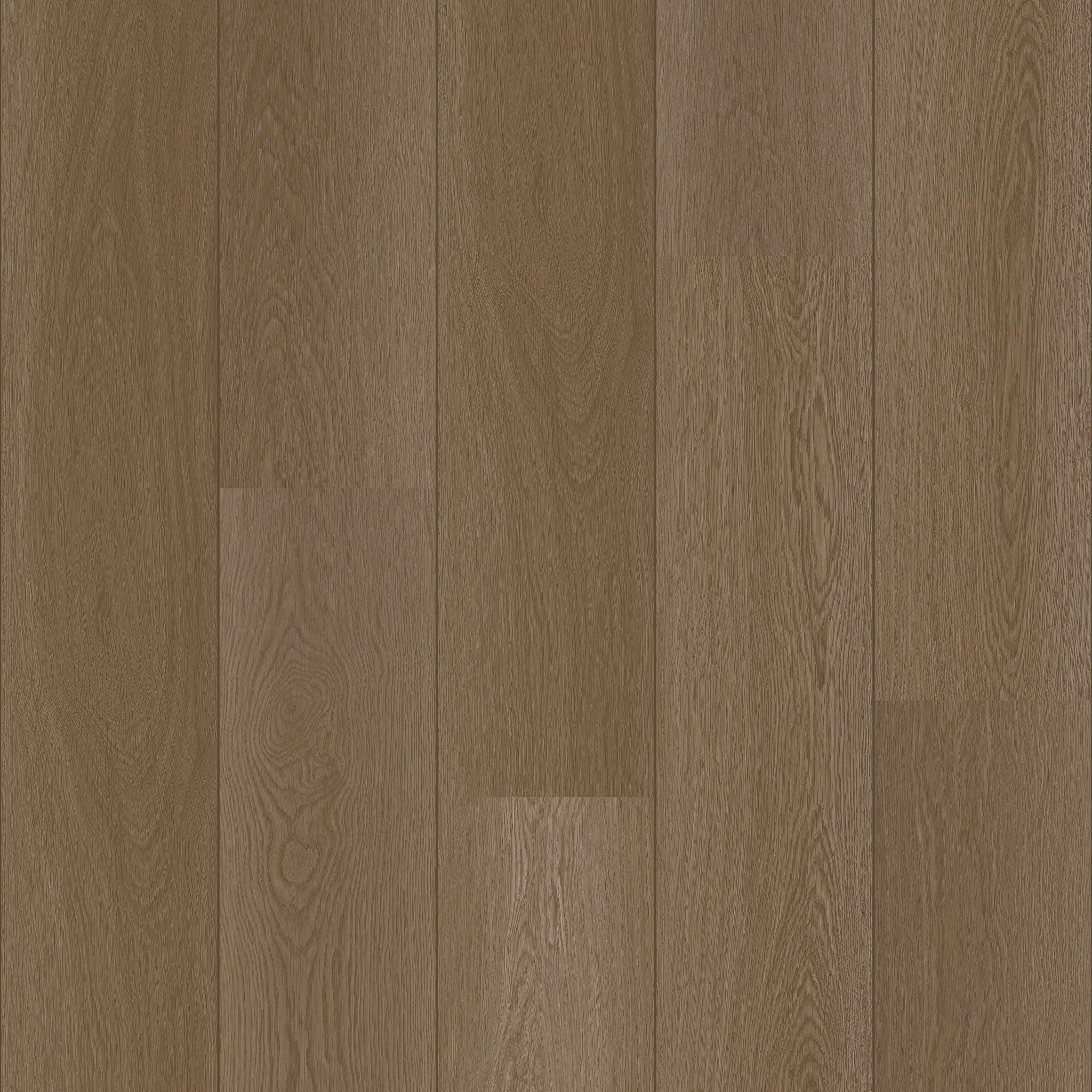 Sydney - 50 LVRE 4882