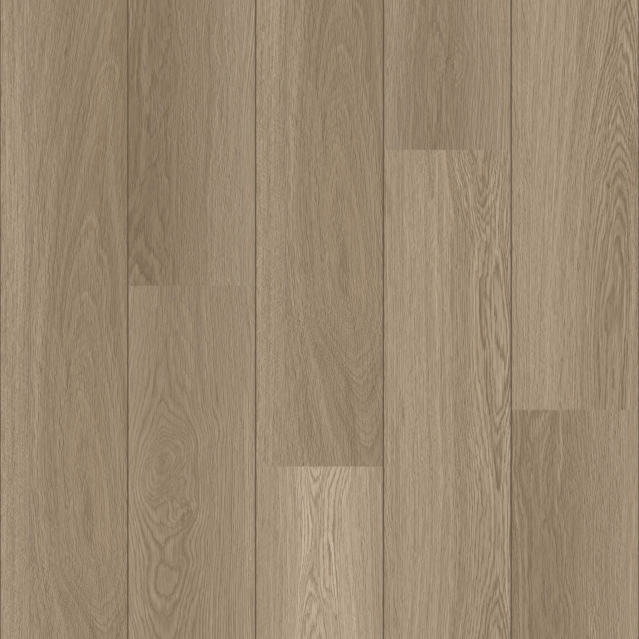 Alberta - 50 LVRE 4851