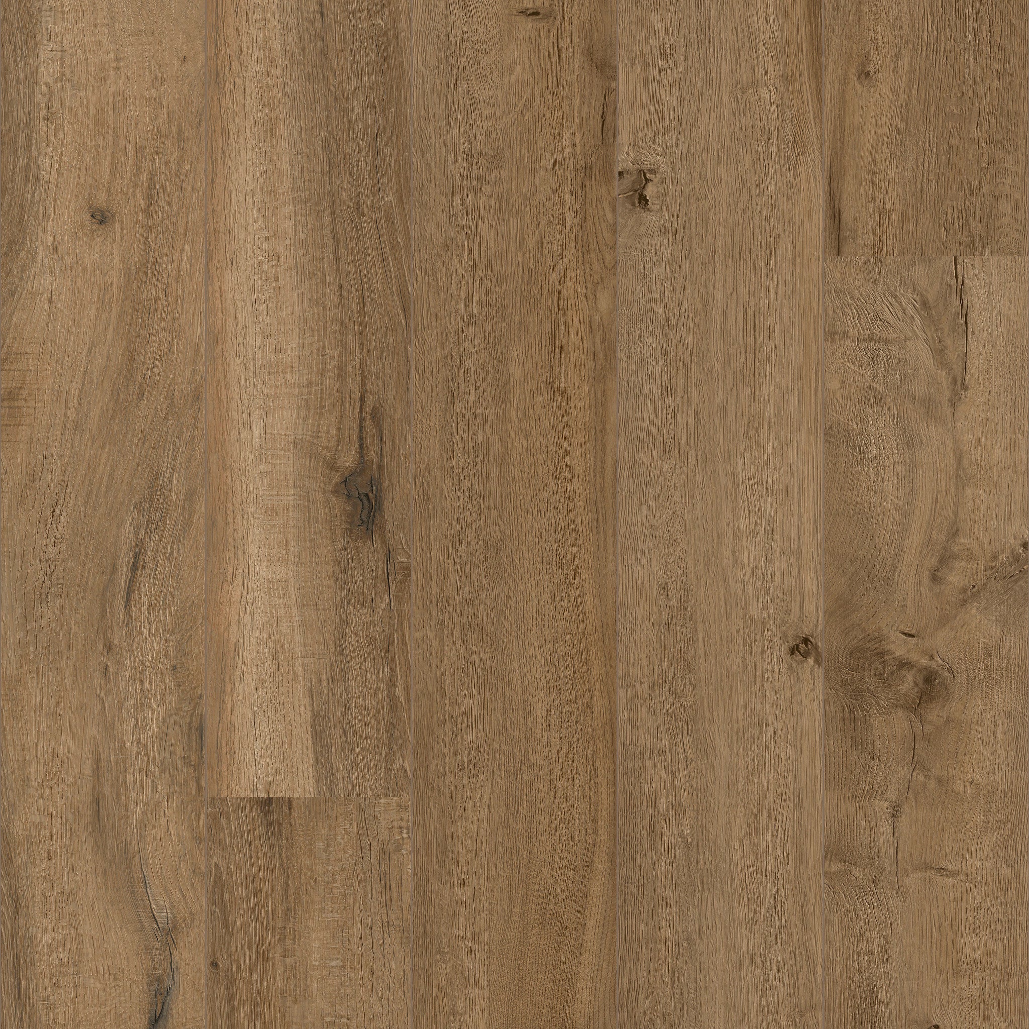 Windsor - 50 LVREXL 2683