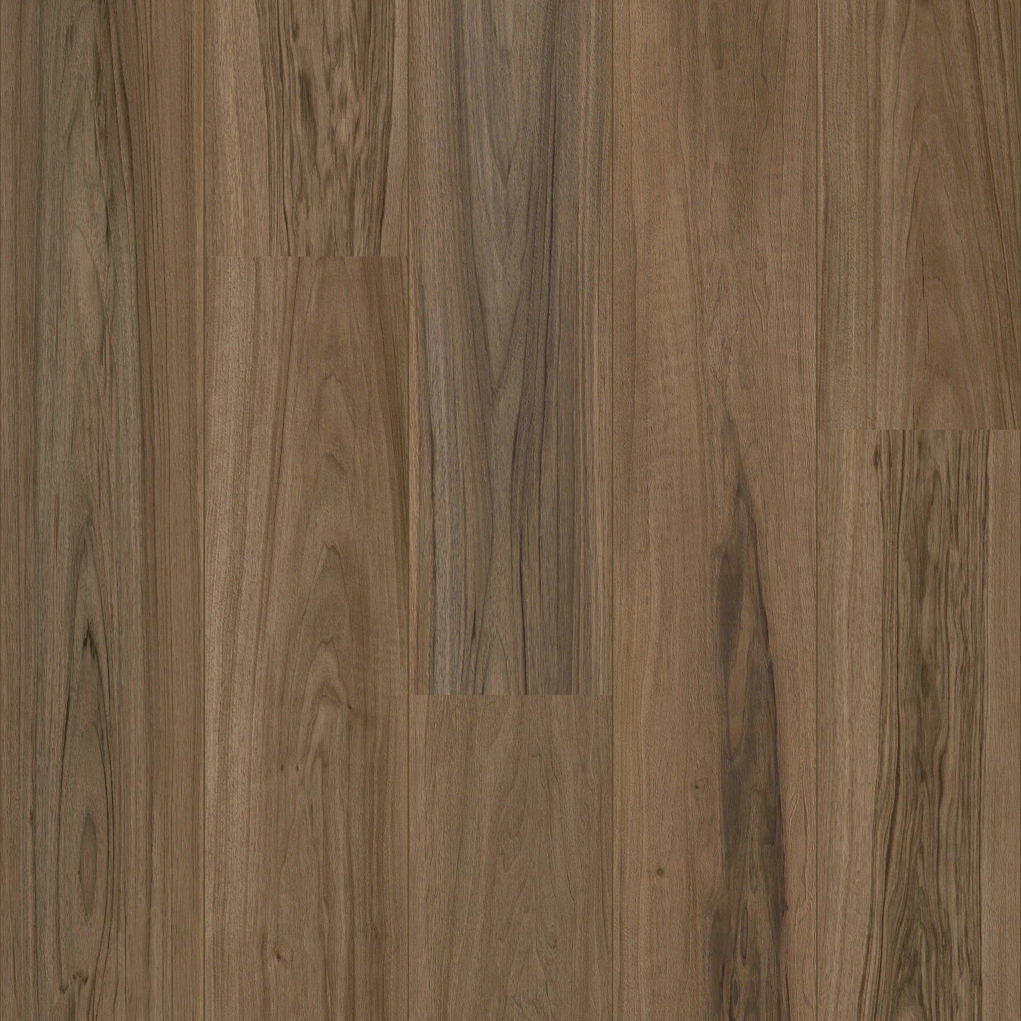 Peruvia - 50 LVRE 3084