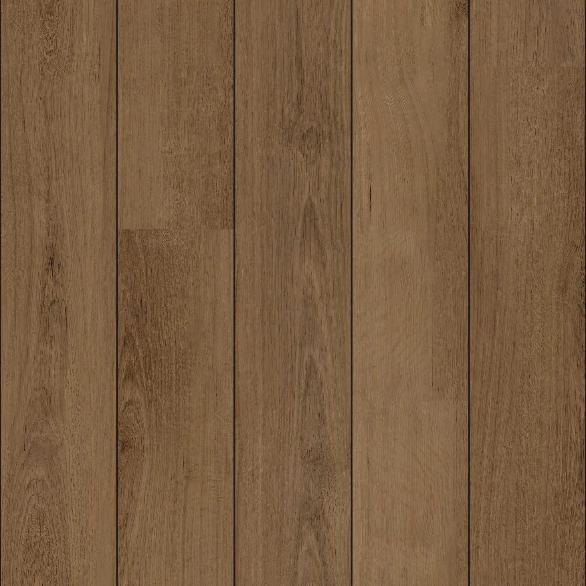 Navytec 83 - 50 RLVE 4083