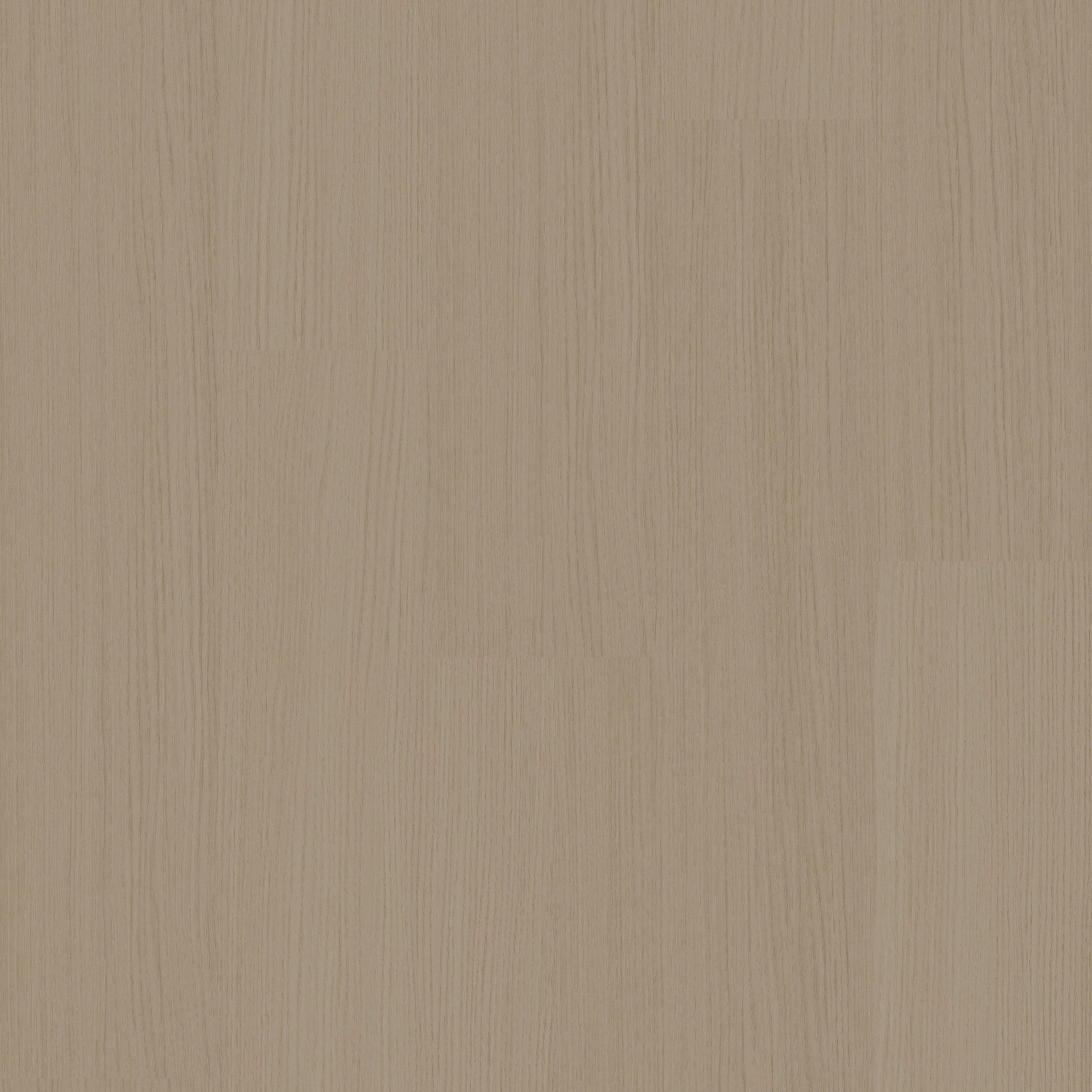 Palazzo - 50 RLV 4651