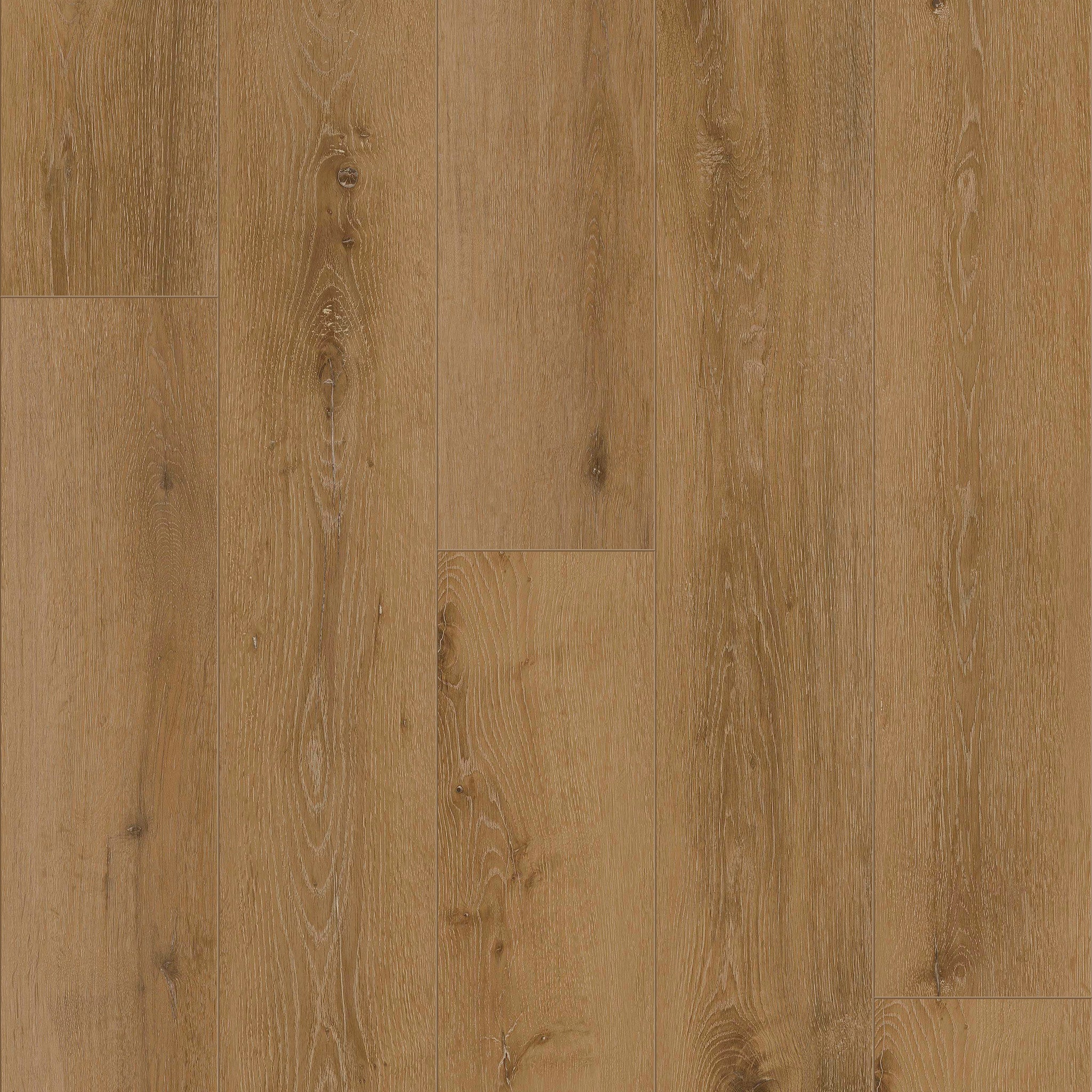 Regina - 50 LVRE 139