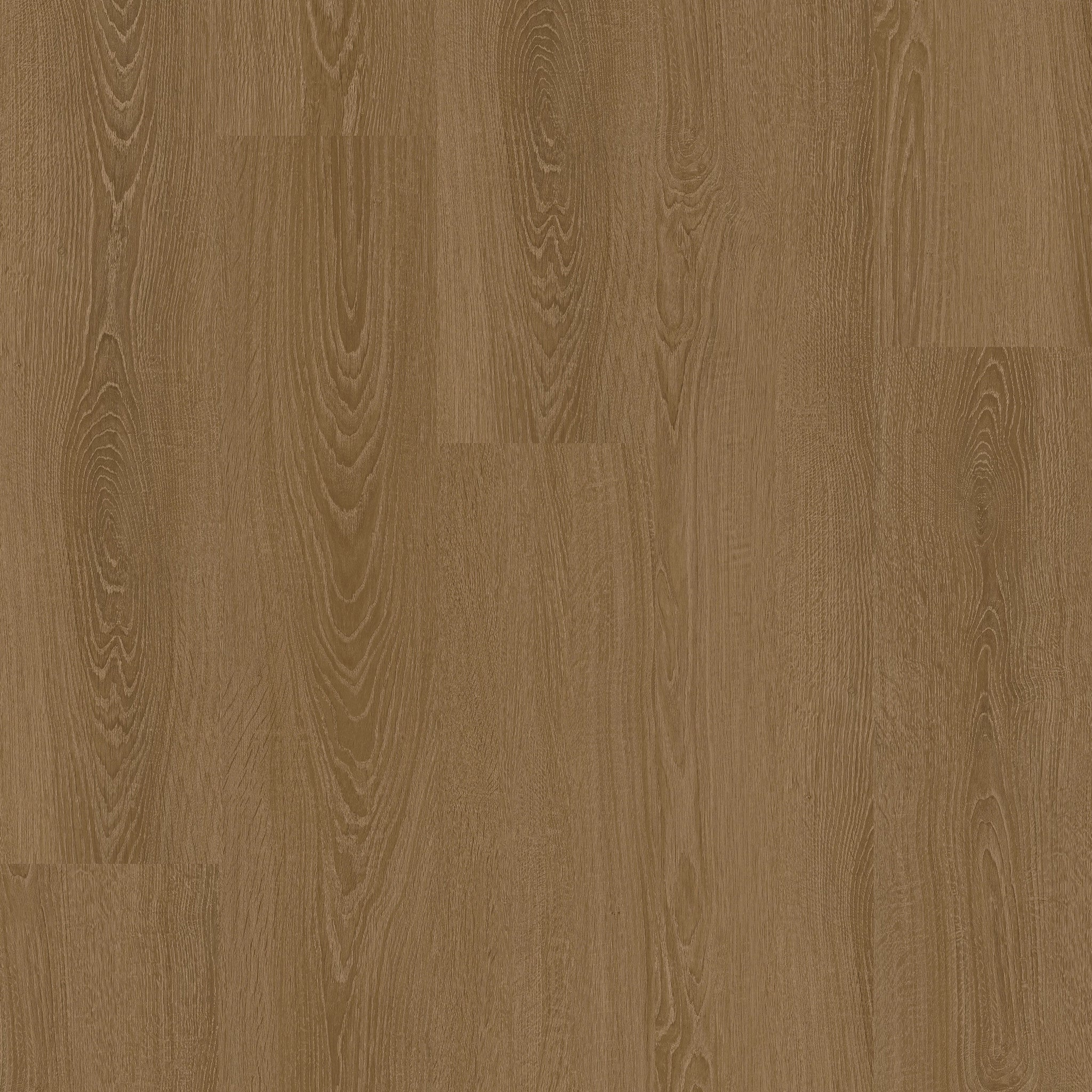Elegance Oak 83 - 50 RLV 3683