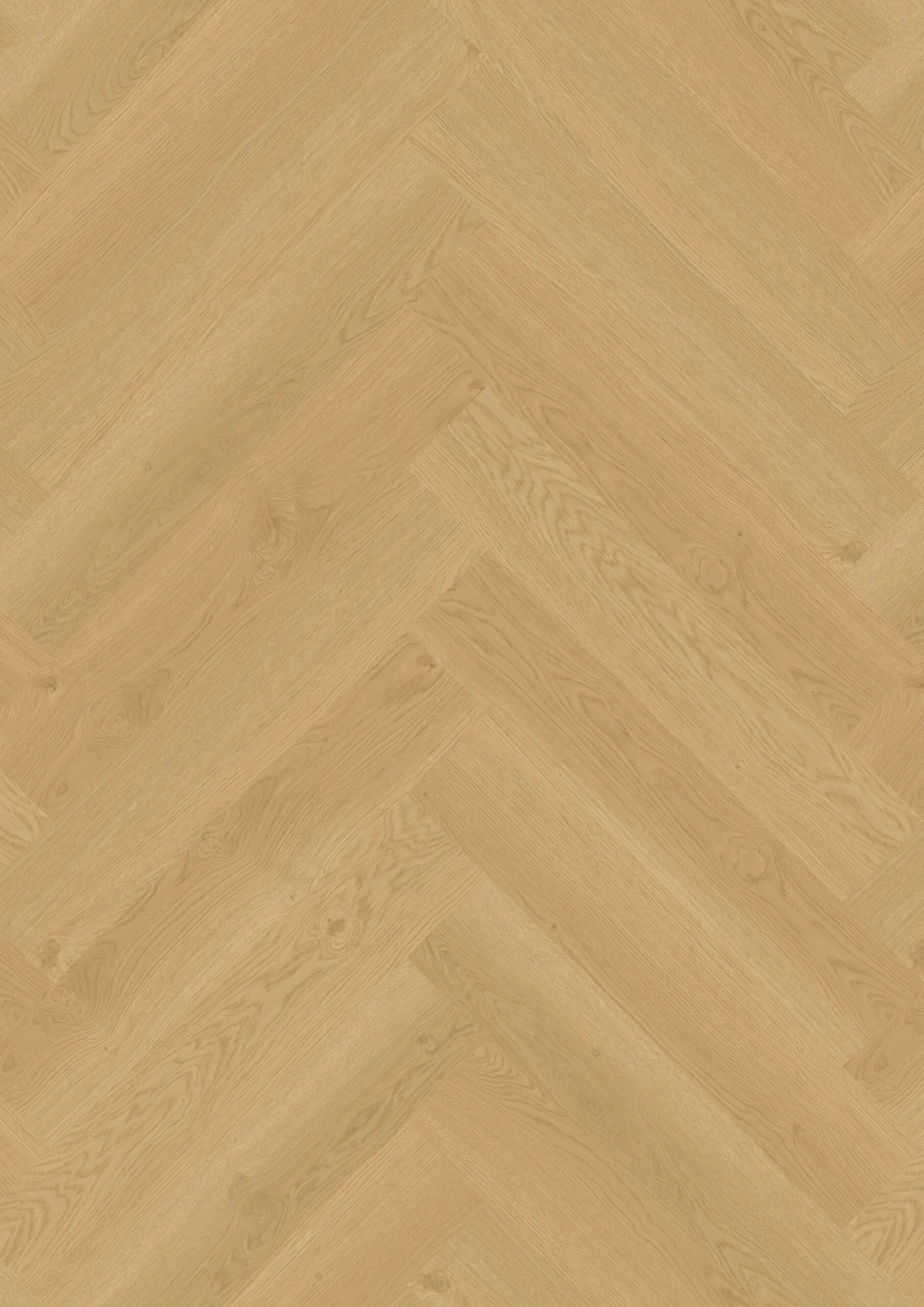 Hoomline Elegance Dryback Visgraat Neushoorn 51319