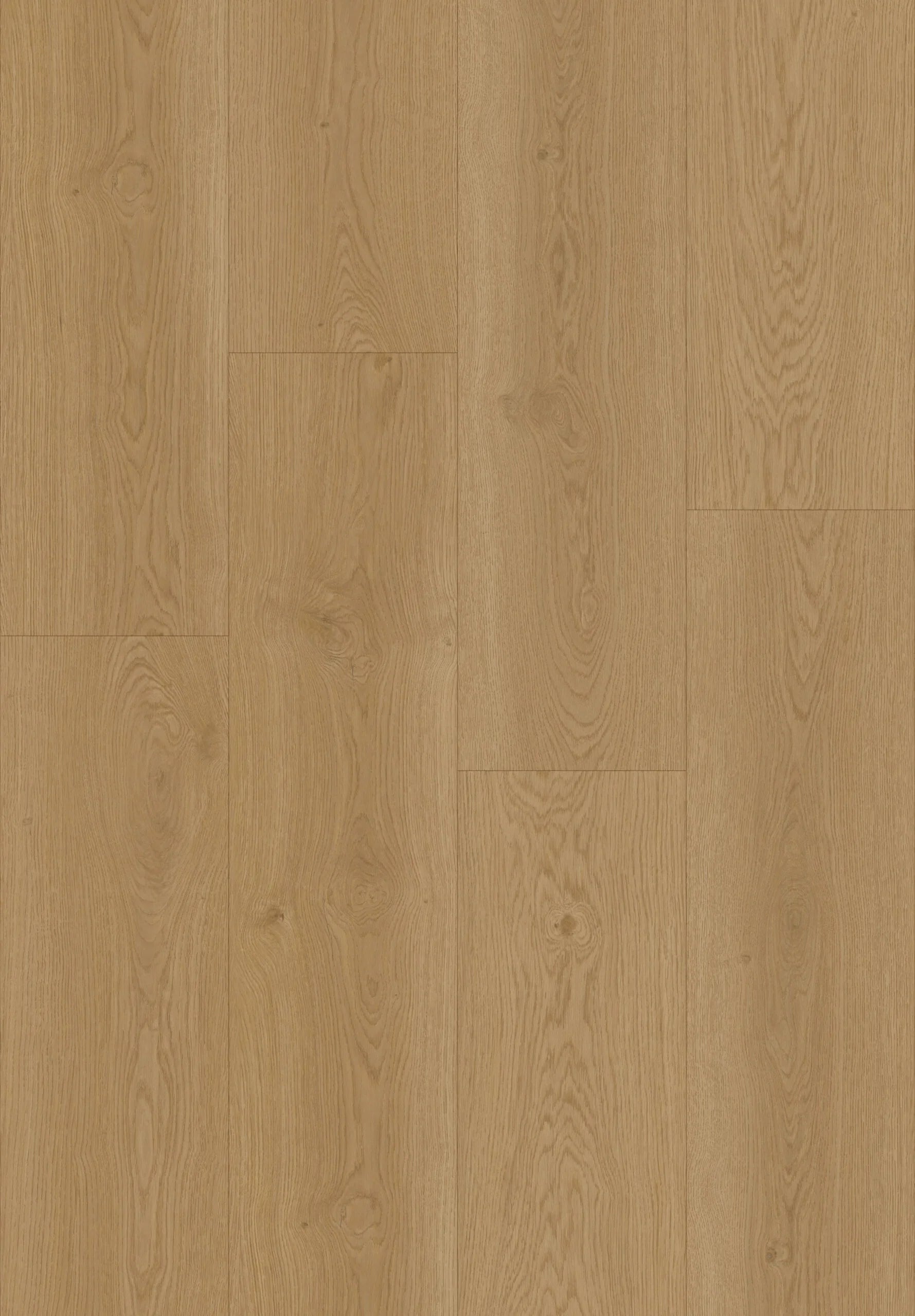 Hoomline Elegance Dryback Plank Ooievaar 51316