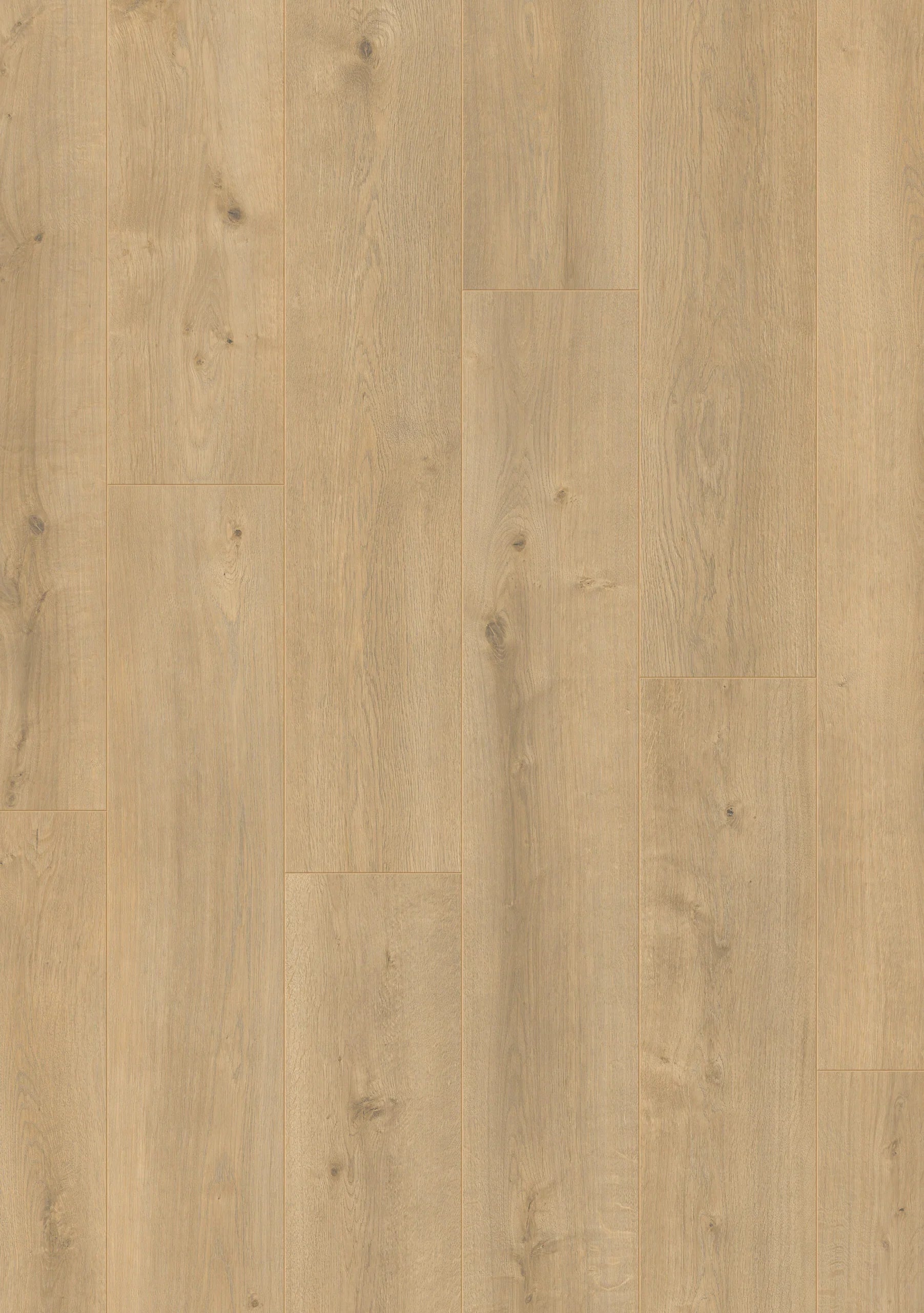 Royal XL V2 Matterhorn 8128 – Aquaprotect