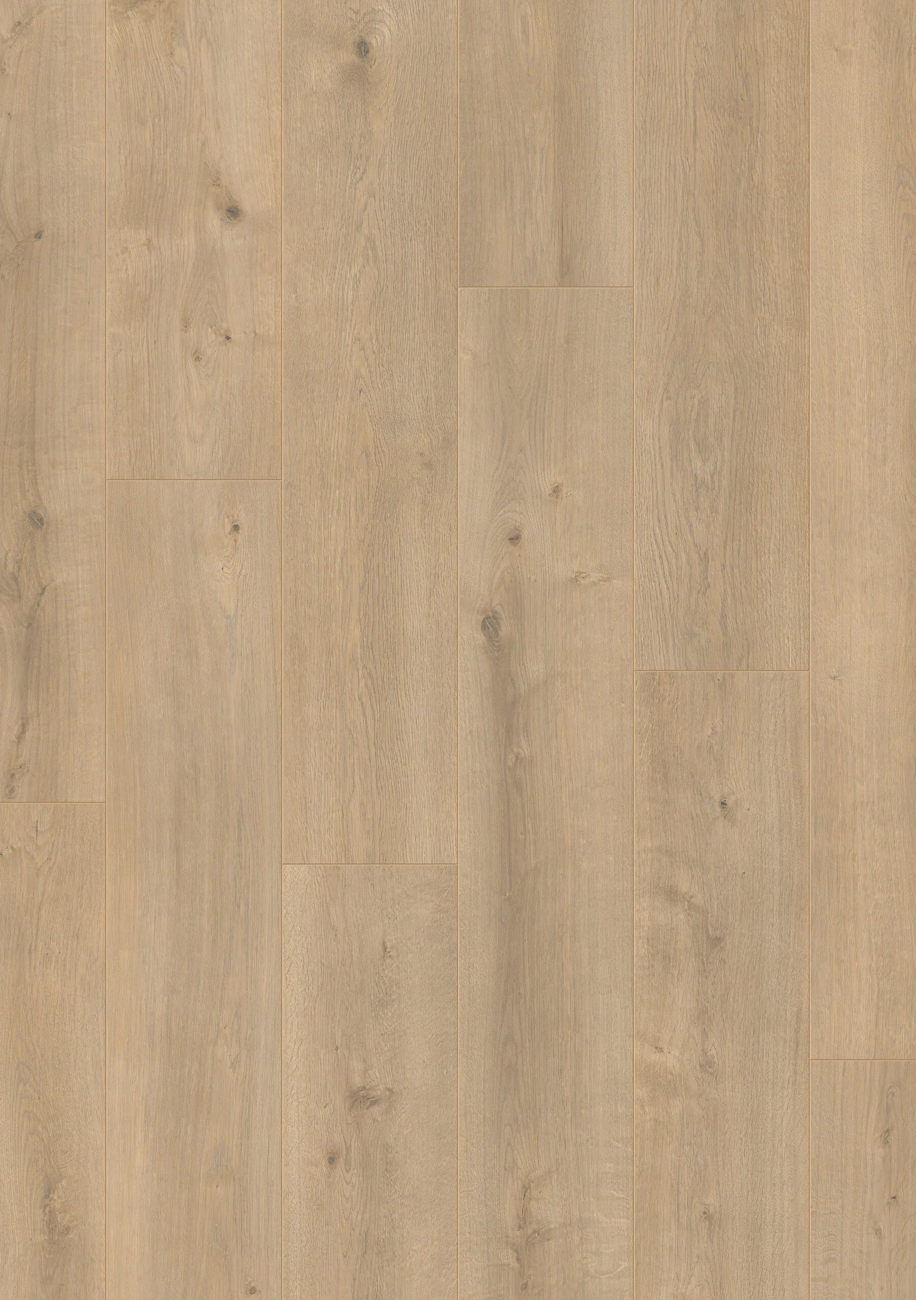 Royal XL V2 Mont Blanc 8127 – Aquaprotect