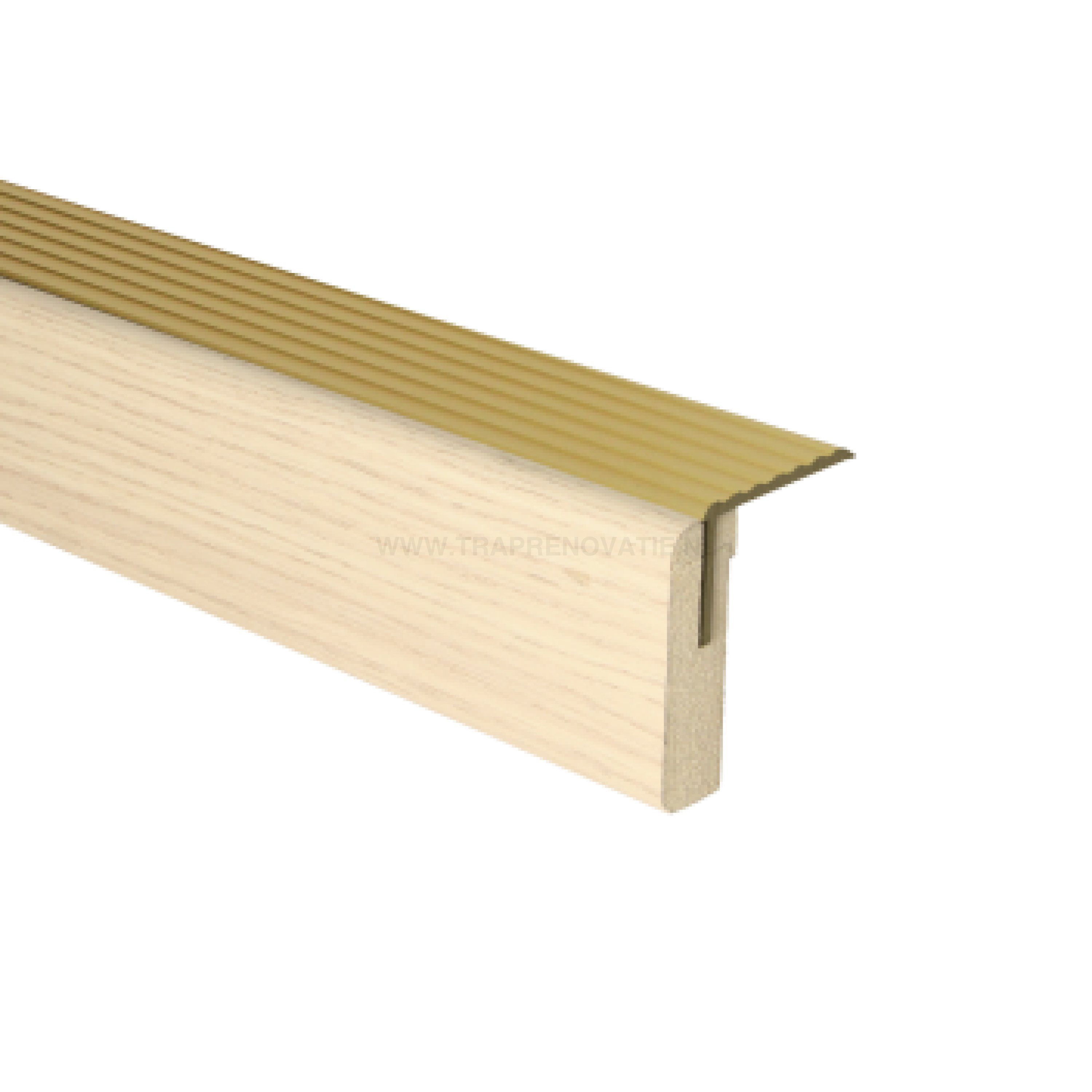 Cpl Uitlooptrede Monticiano Eik Natuur